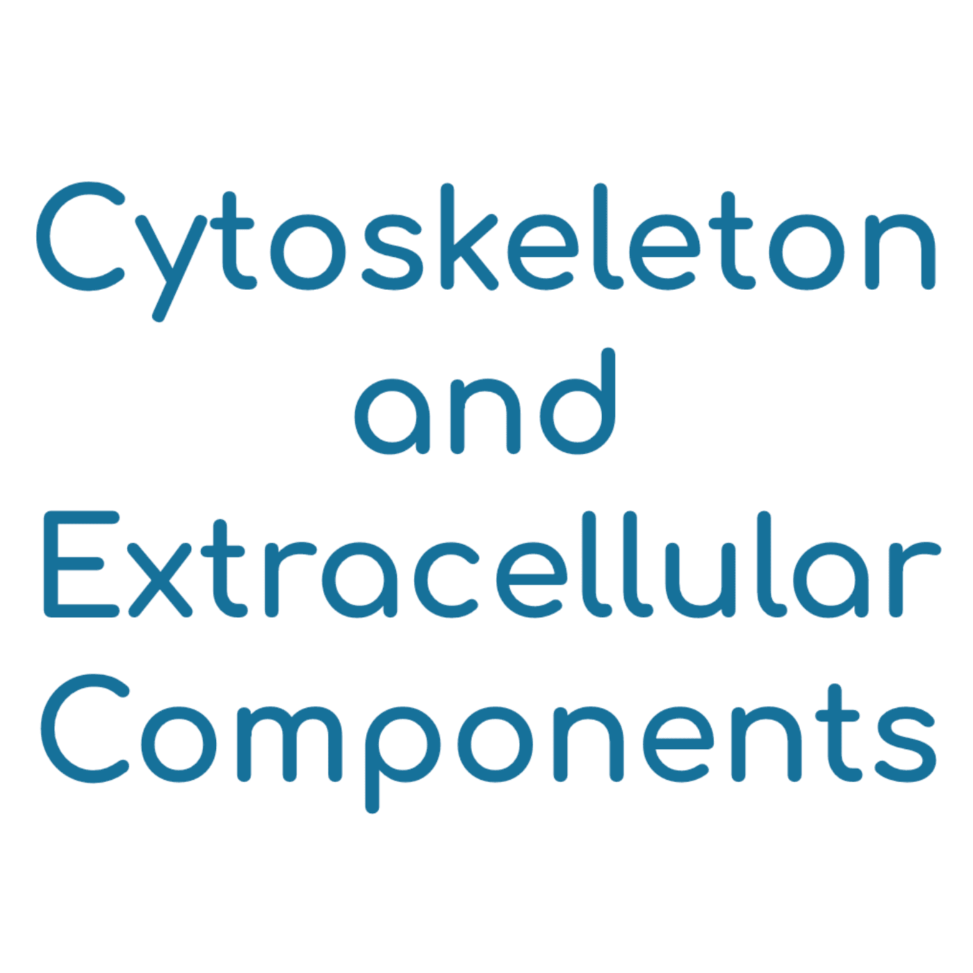 Cytoskeleton and Extracellular Components