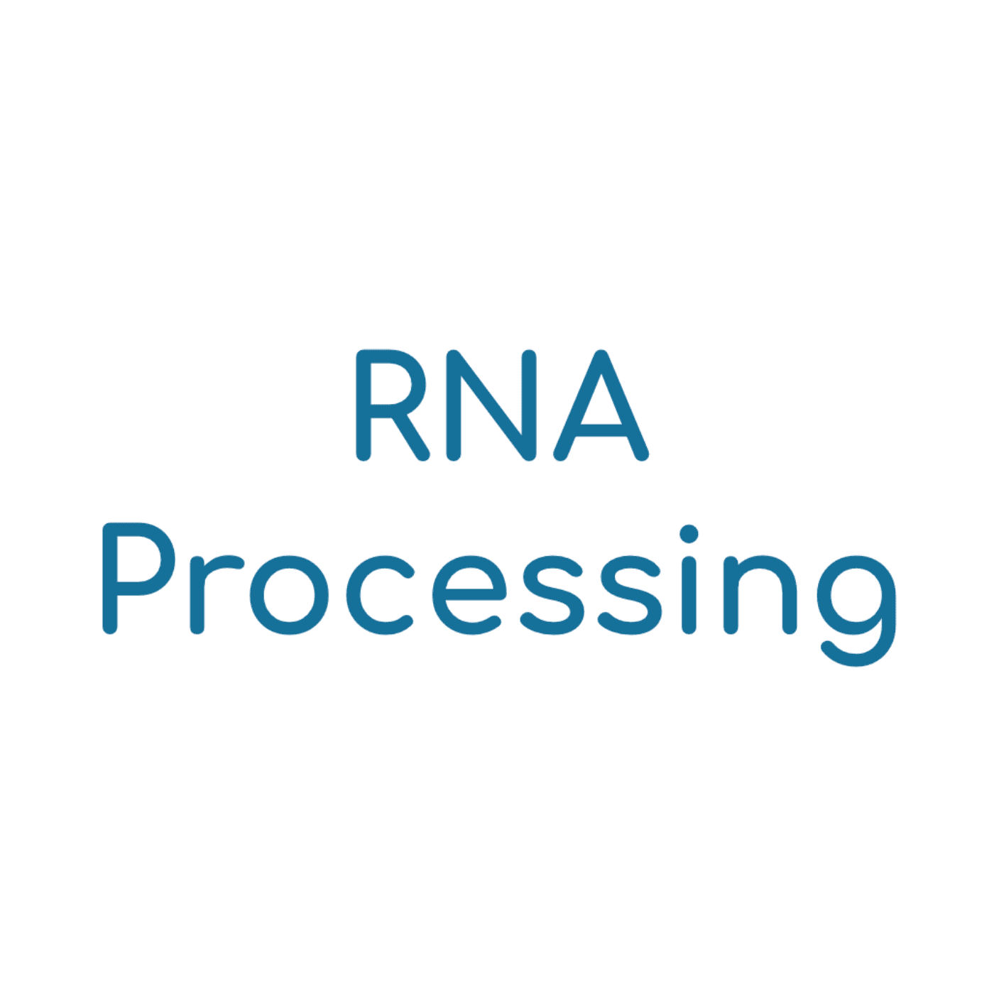 RNA Processing