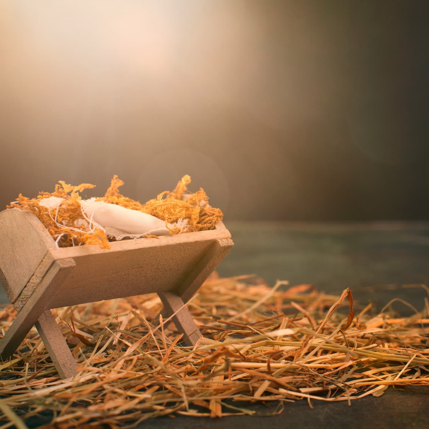 Weekly Devotion: December 23, 2024 "Simple Christmas"