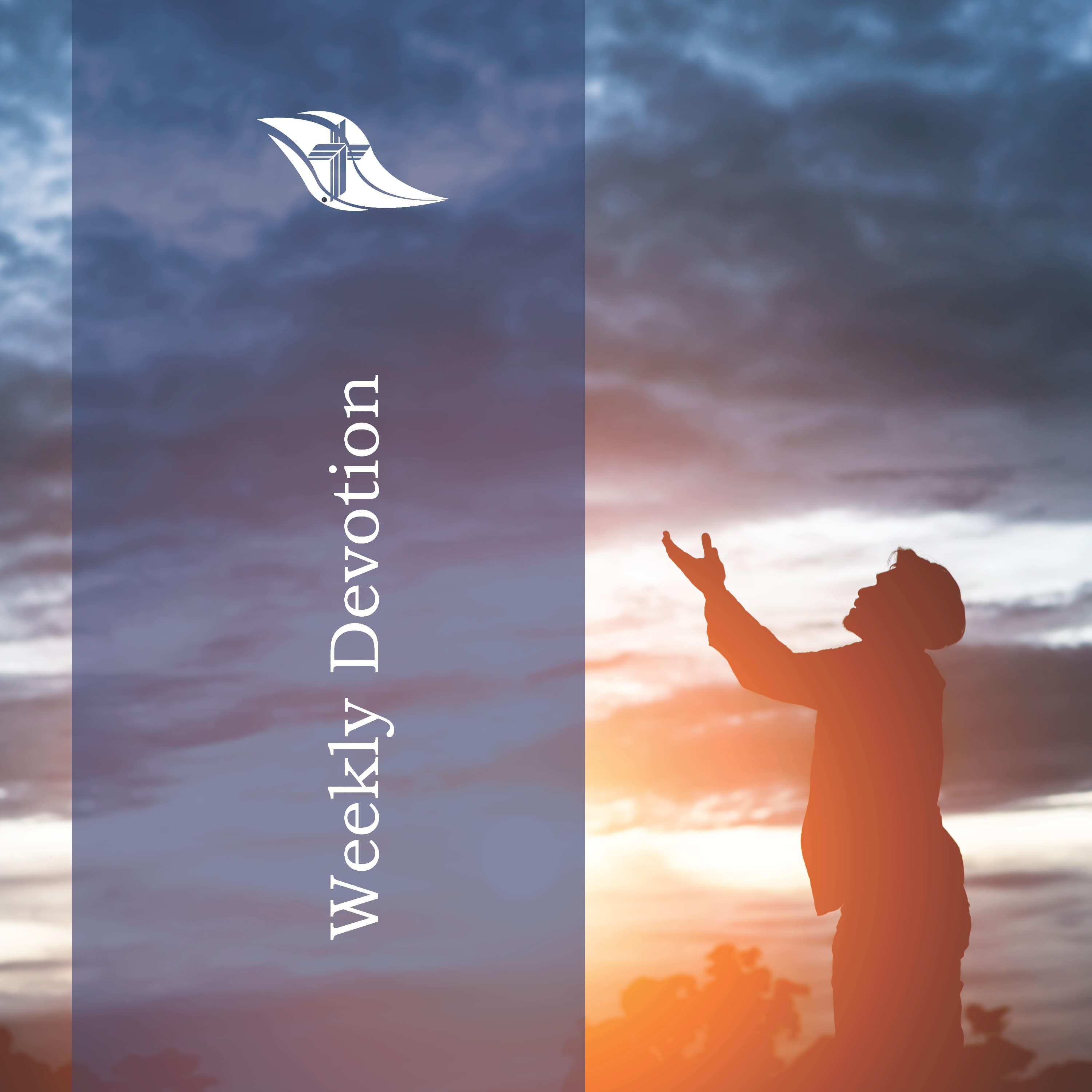 Weekly Devotion: February 3, 2025 "Express Your Feelings to God"