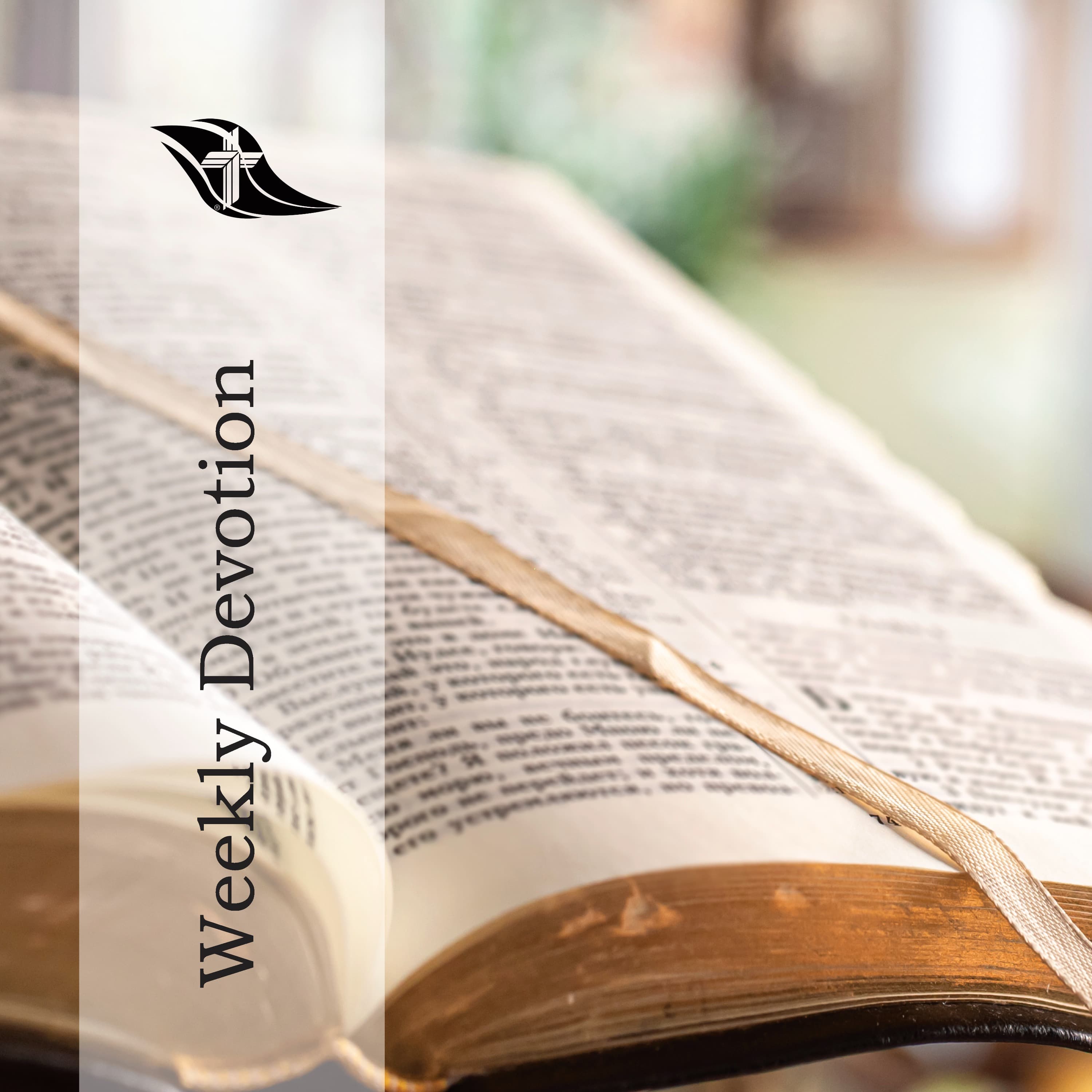 Weekly Devotion: February 24, 2025 "Where Does Jesus Abide?"