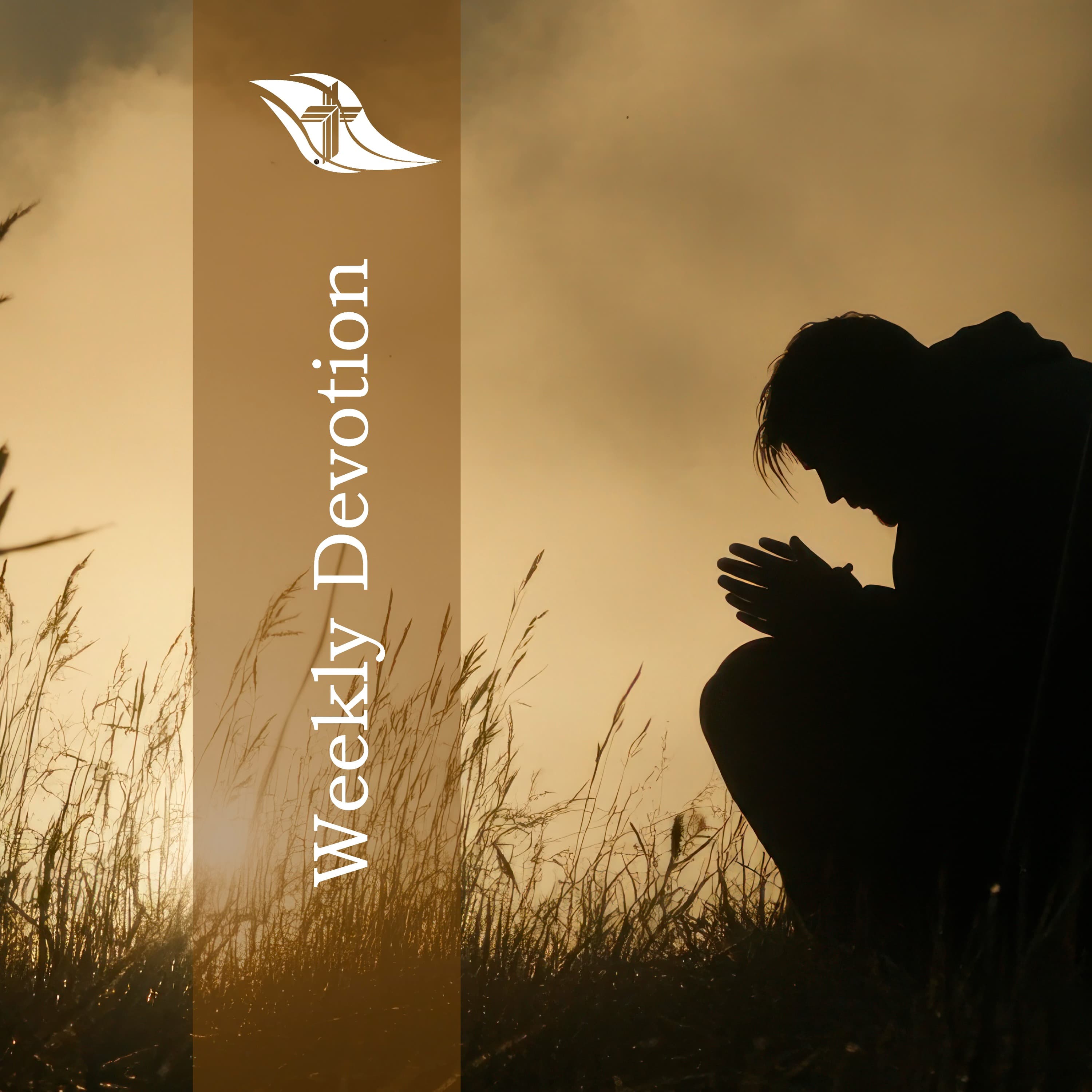Weekly Devotion: April 28, 2025 "I Despise Myself and Repent"