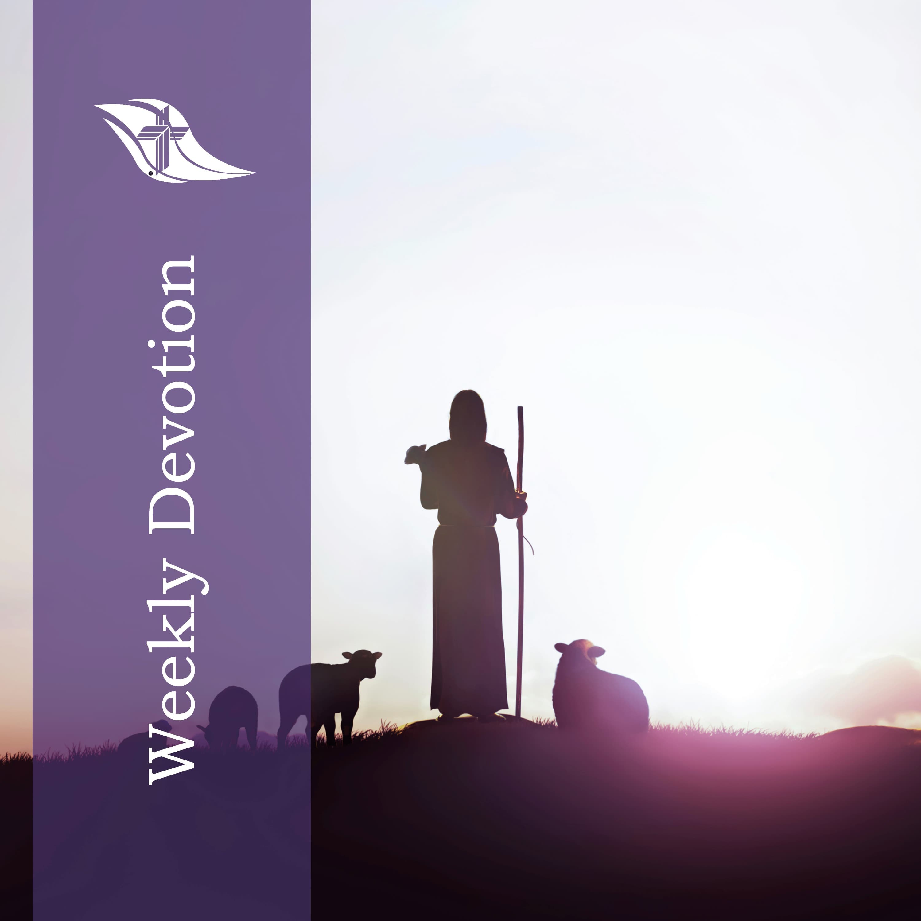 Weekly Devotion: June 2, 2025 "The Lord is Your Shepherd"