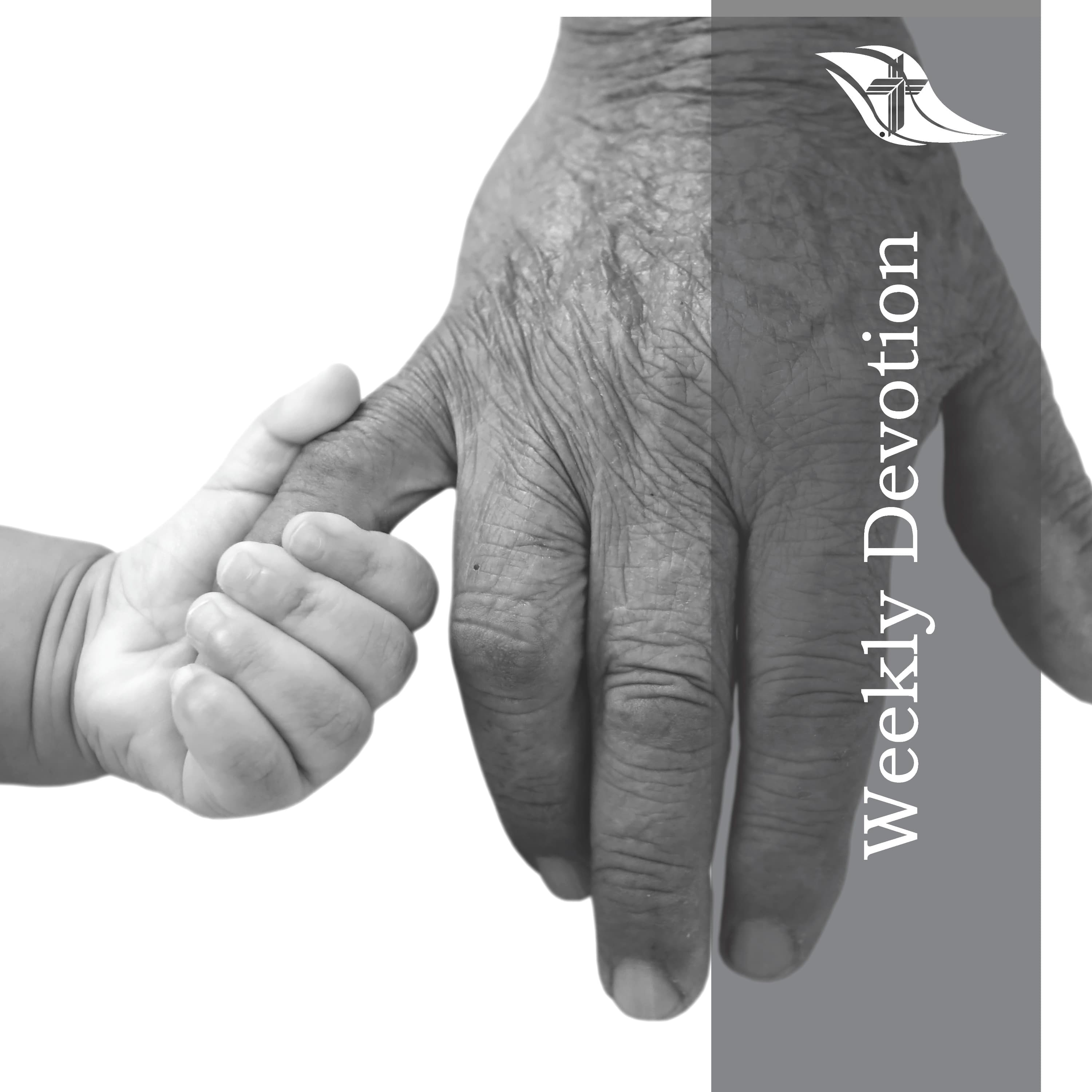 Weekly Devotion: June 9, 2025 "Seasons of Life"