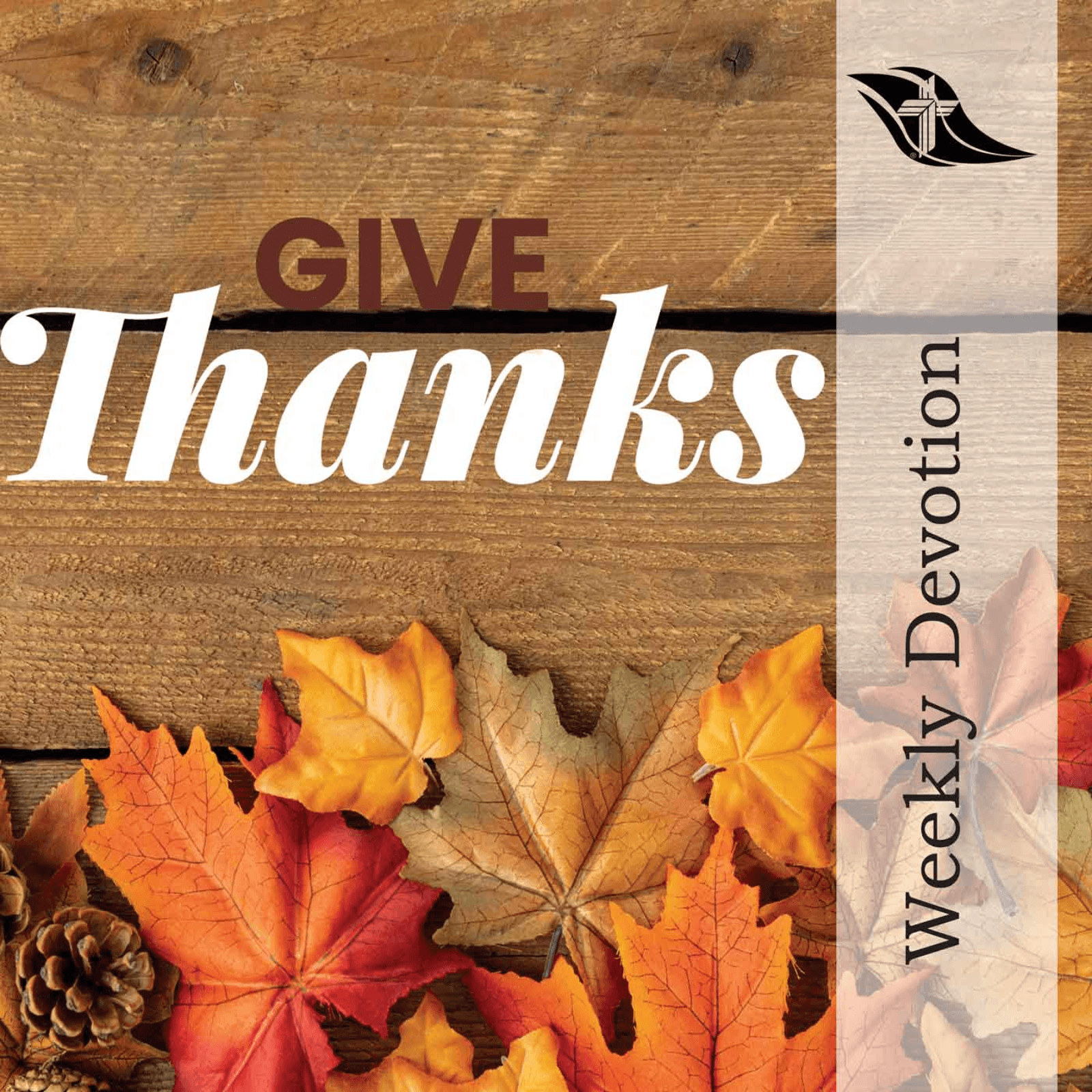 Weekly Devotion: November 24, 2025 "Give Thanks"