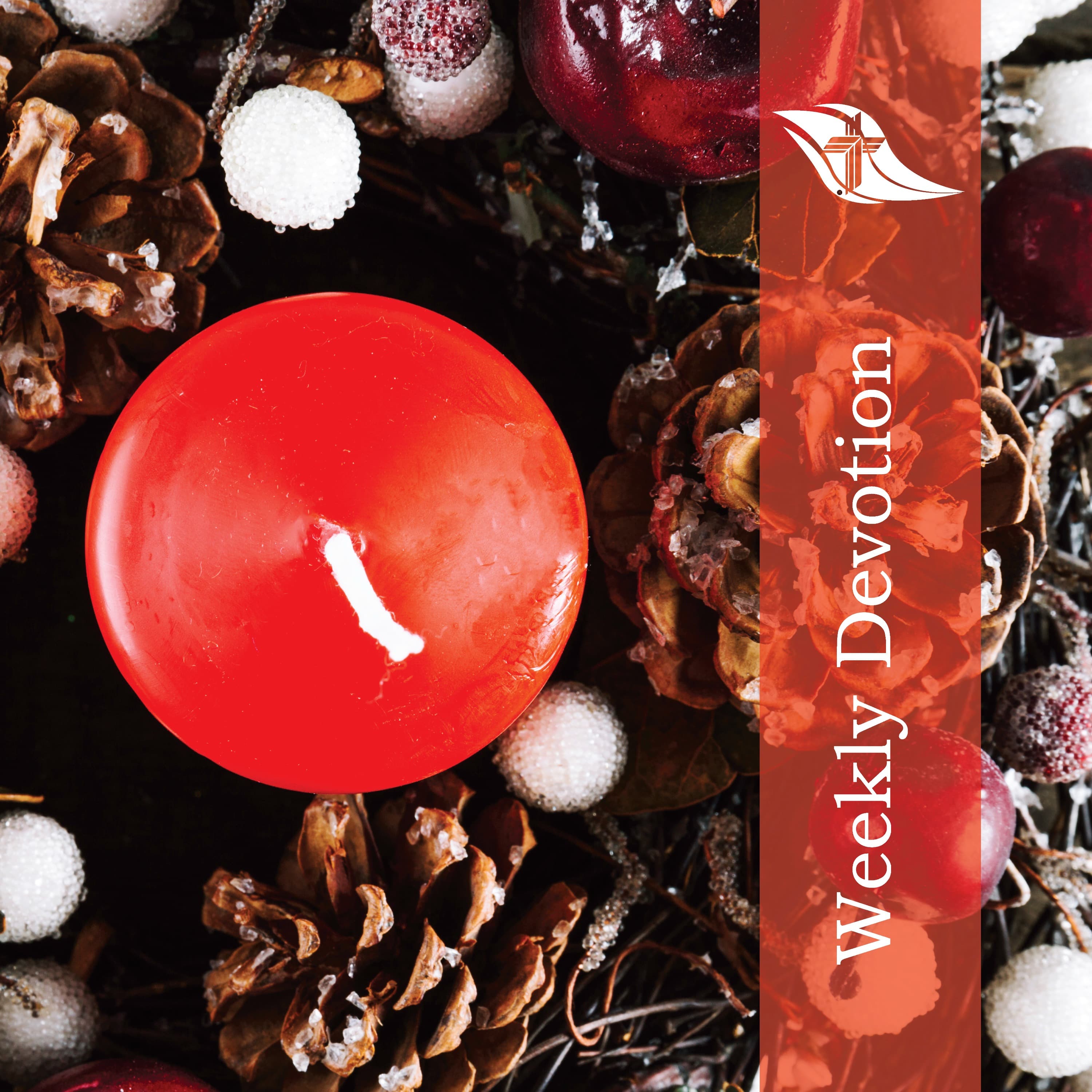 Weekly Devotion: December 1, 2025 "The Advent of our God"