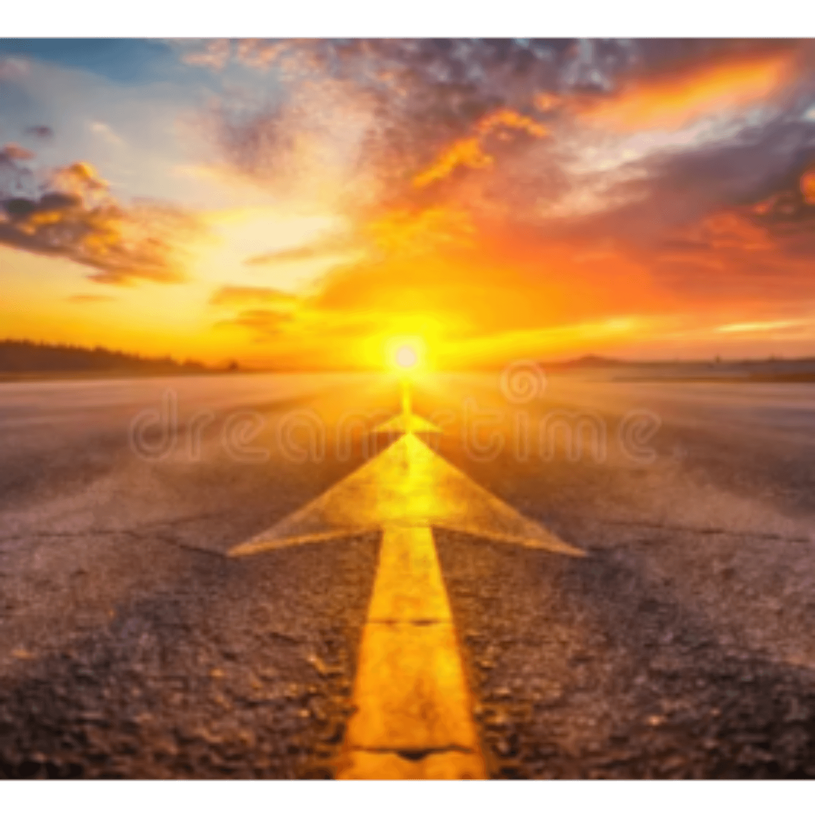The Path Forward 