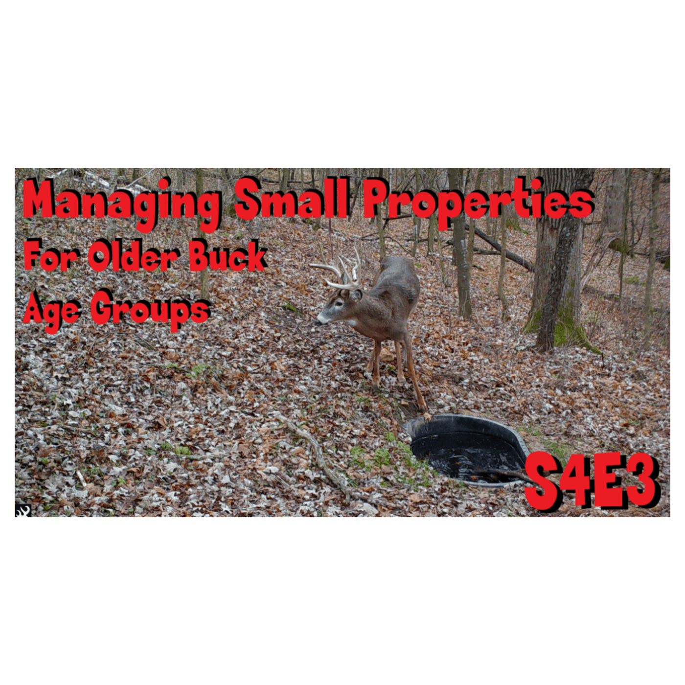 Managing small properties for buck age groups can it be done S4E3