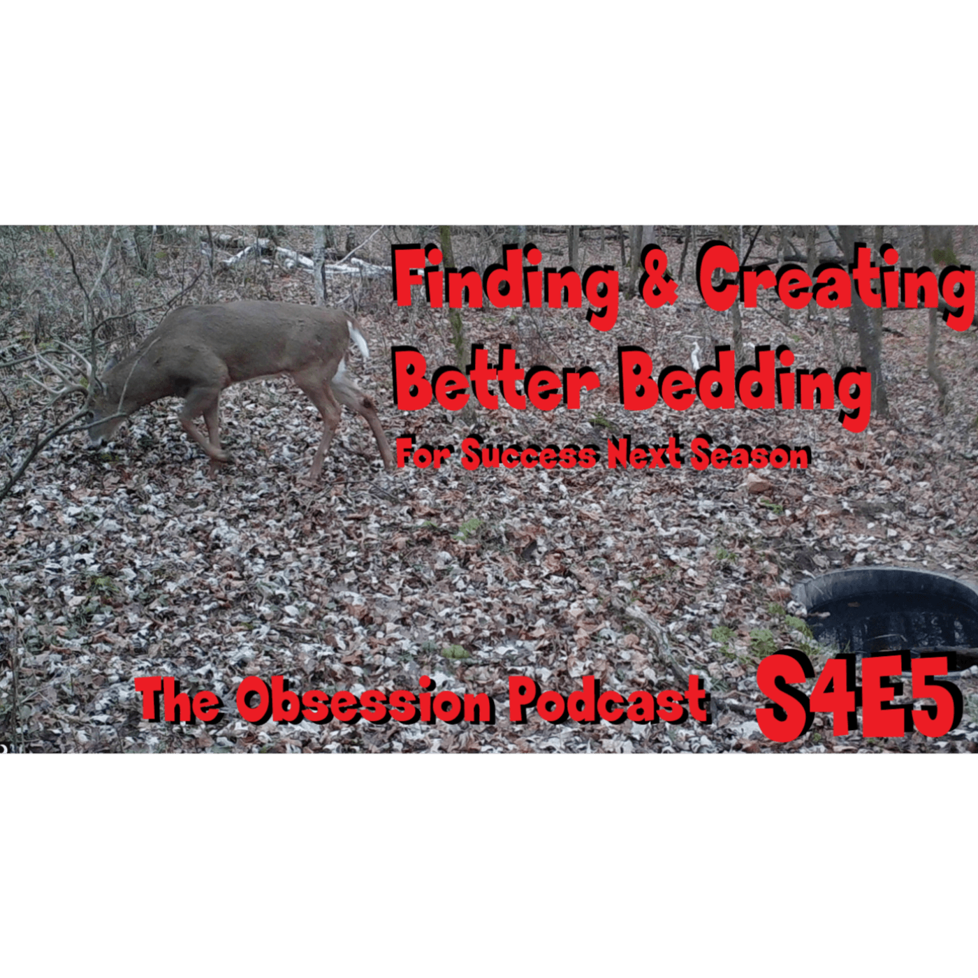 Finding & creating better bedding for success next season s4e5