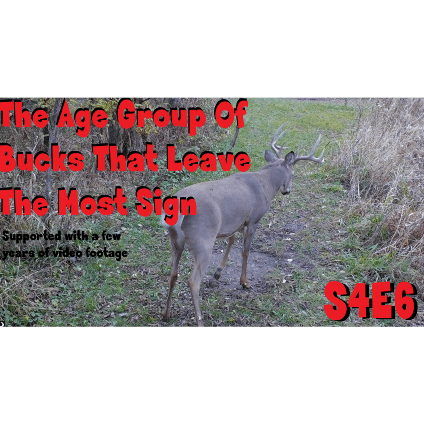 The age group of bucks that leave the most sign s4e6