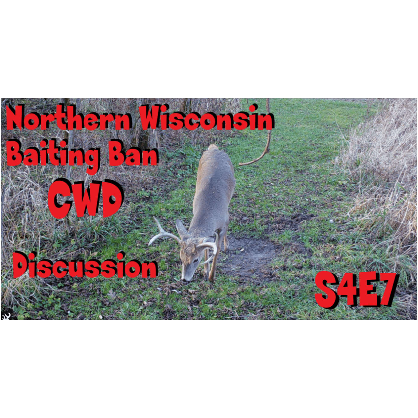Baiting ban in northern Wisconsin for CWD s4e7 movie