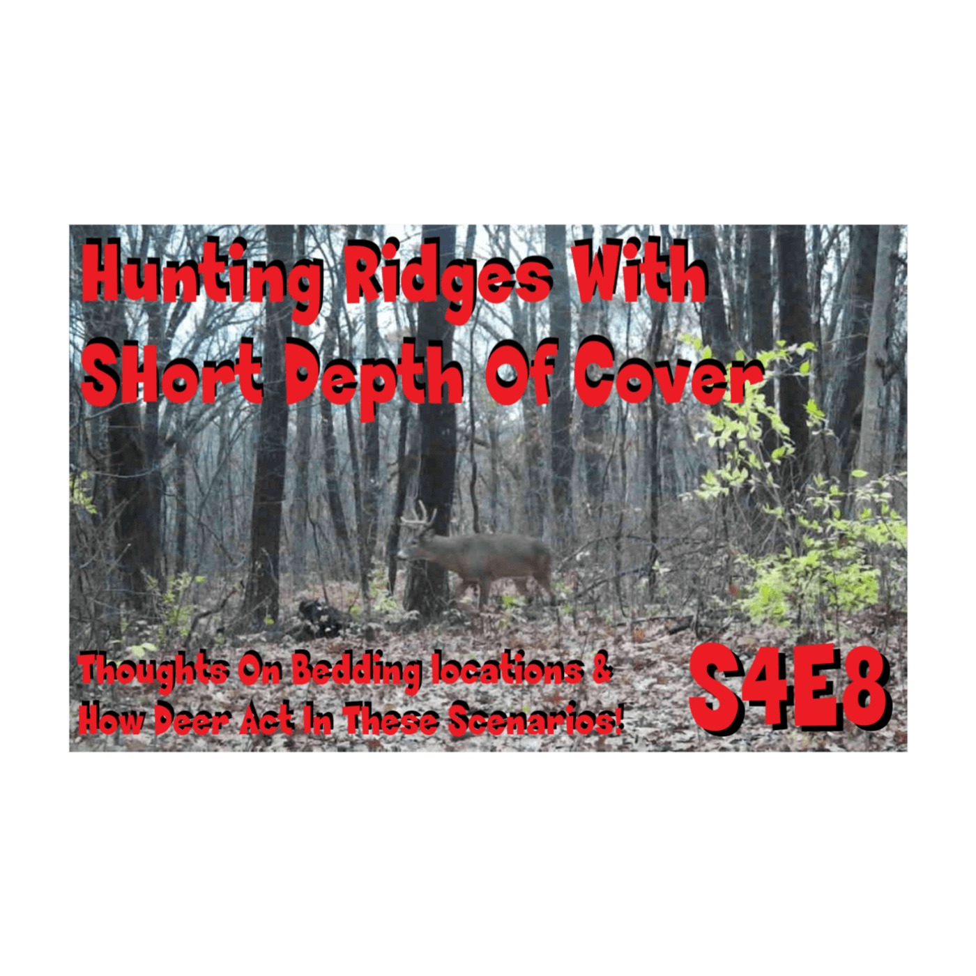 Hunting Ridges with short depth of cover s4e8