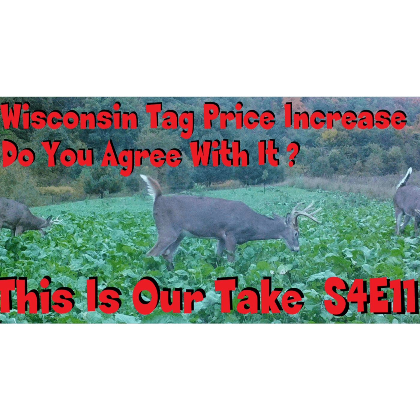 Wisconsin tag price increase views and thoughts s4e11