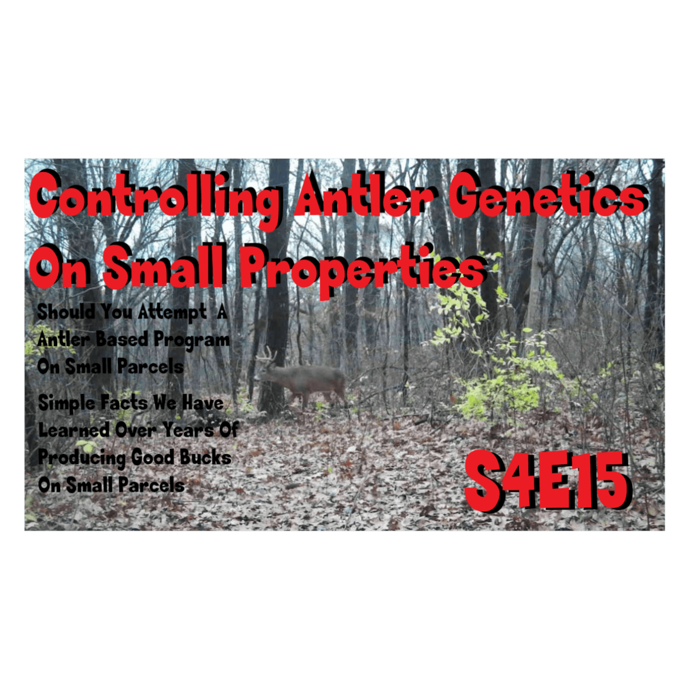 Controlling antler genetics in your deer herd on small properties s4e15