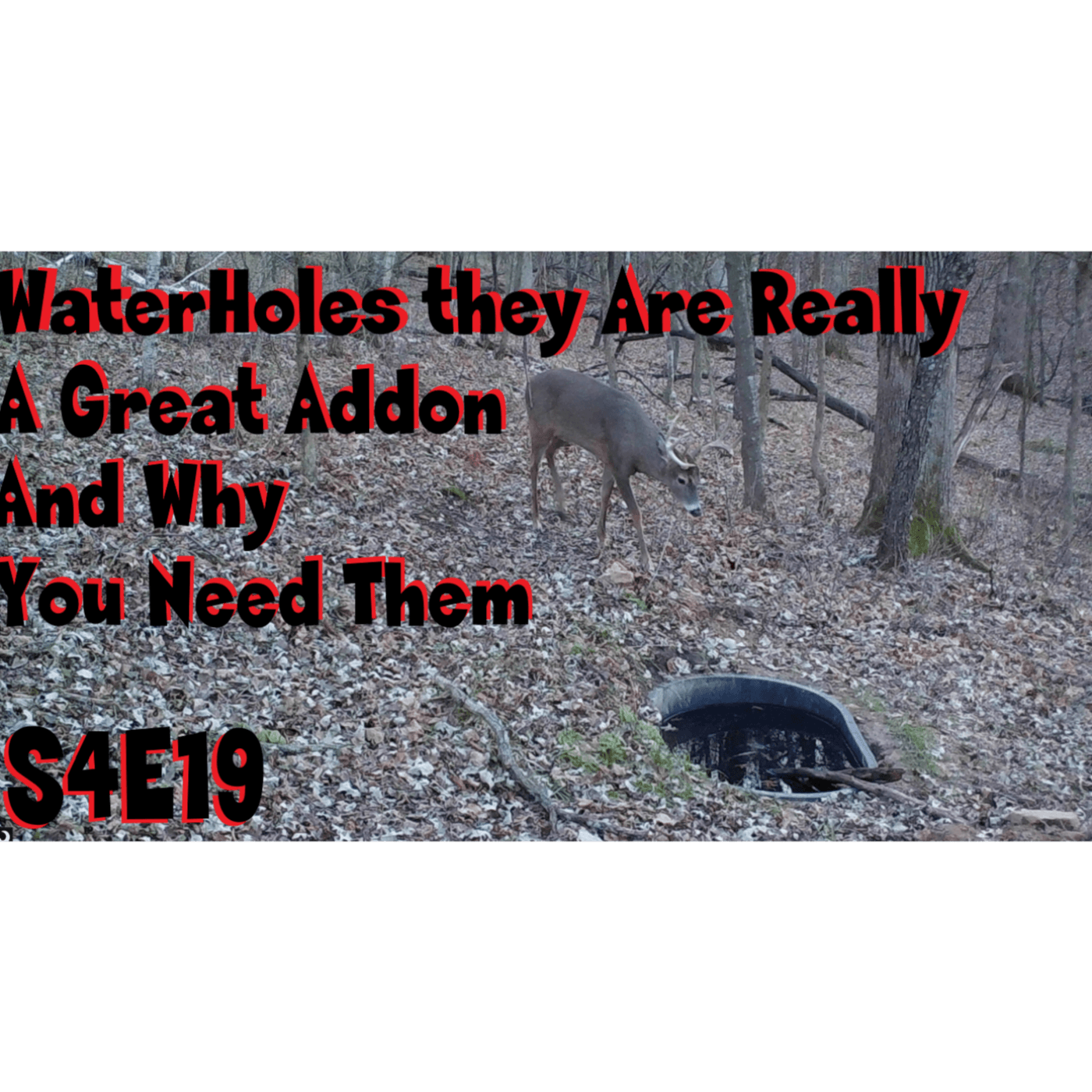 Waterholes are they really a great addon and why s4e19
