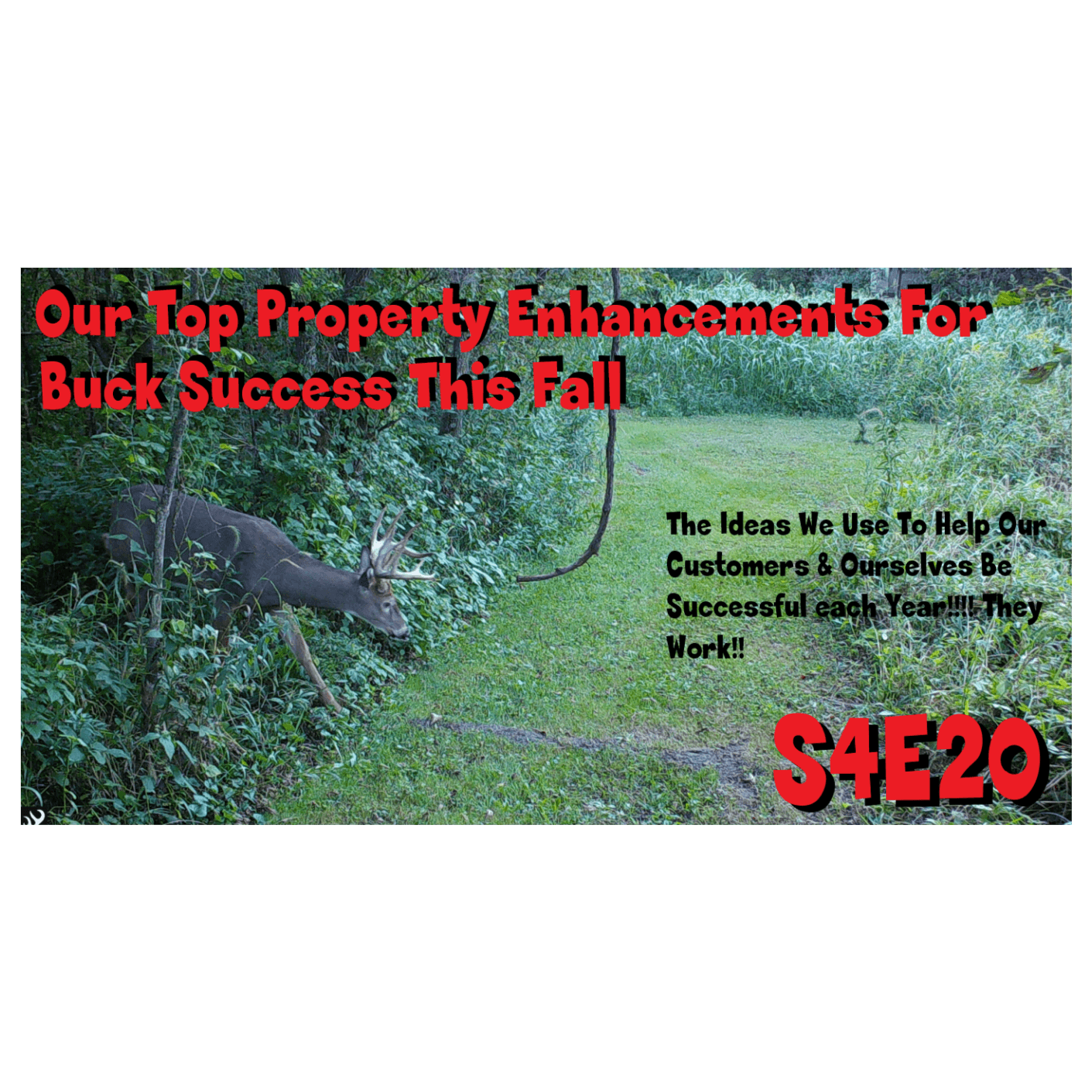 Our top property enhancements for buck success this fall s4e20