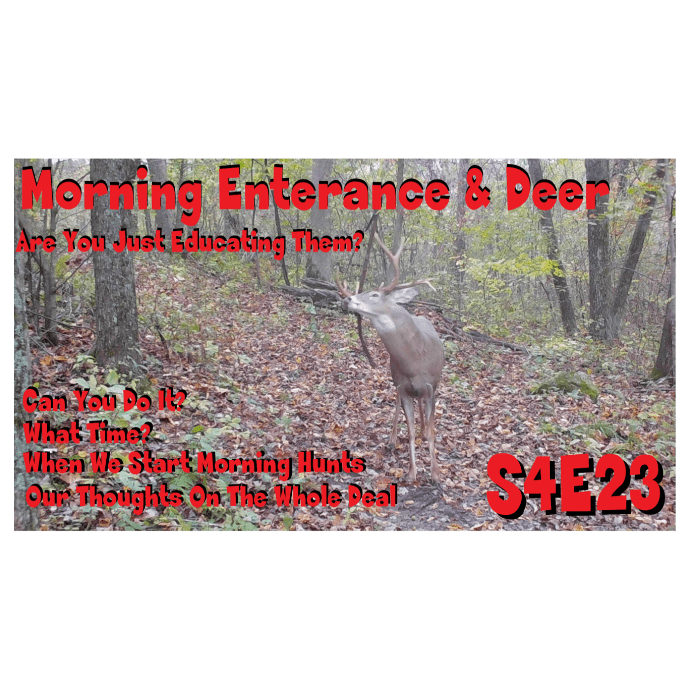 Morning entrances in the dark are you just educating deer s4e23