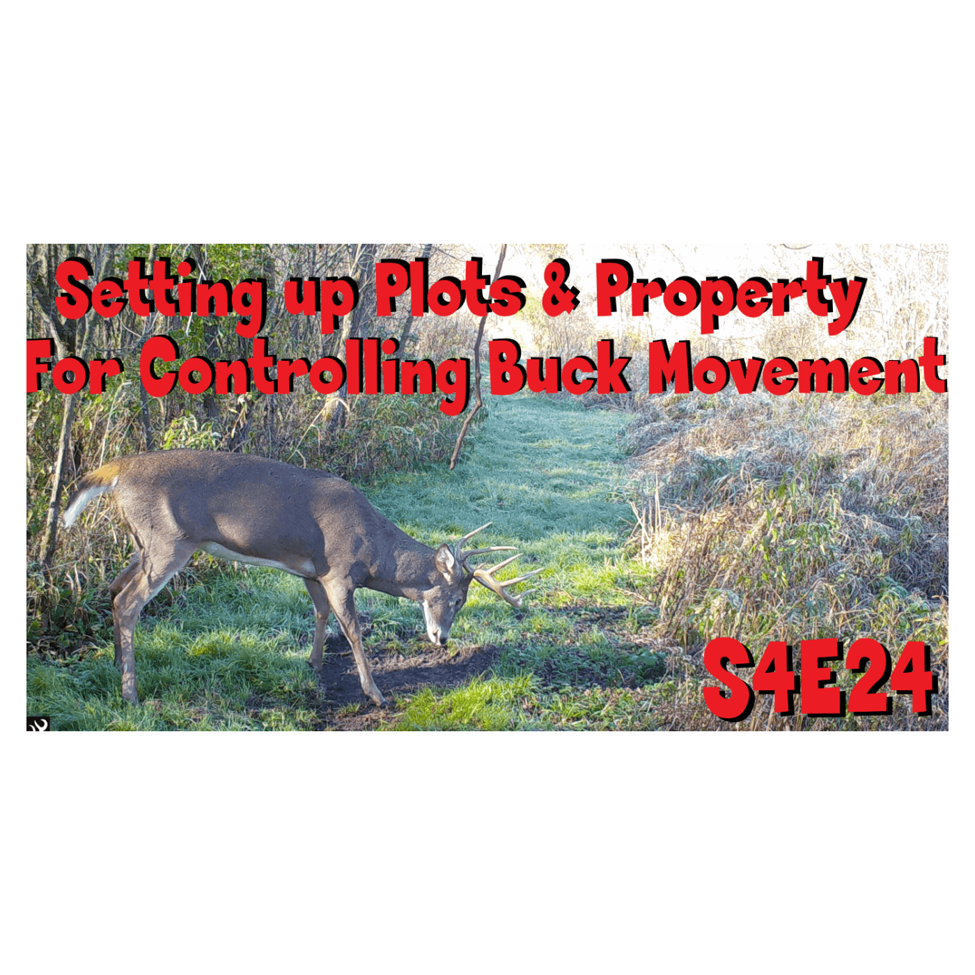 Setting up your property & plots to control buck movement s4e24