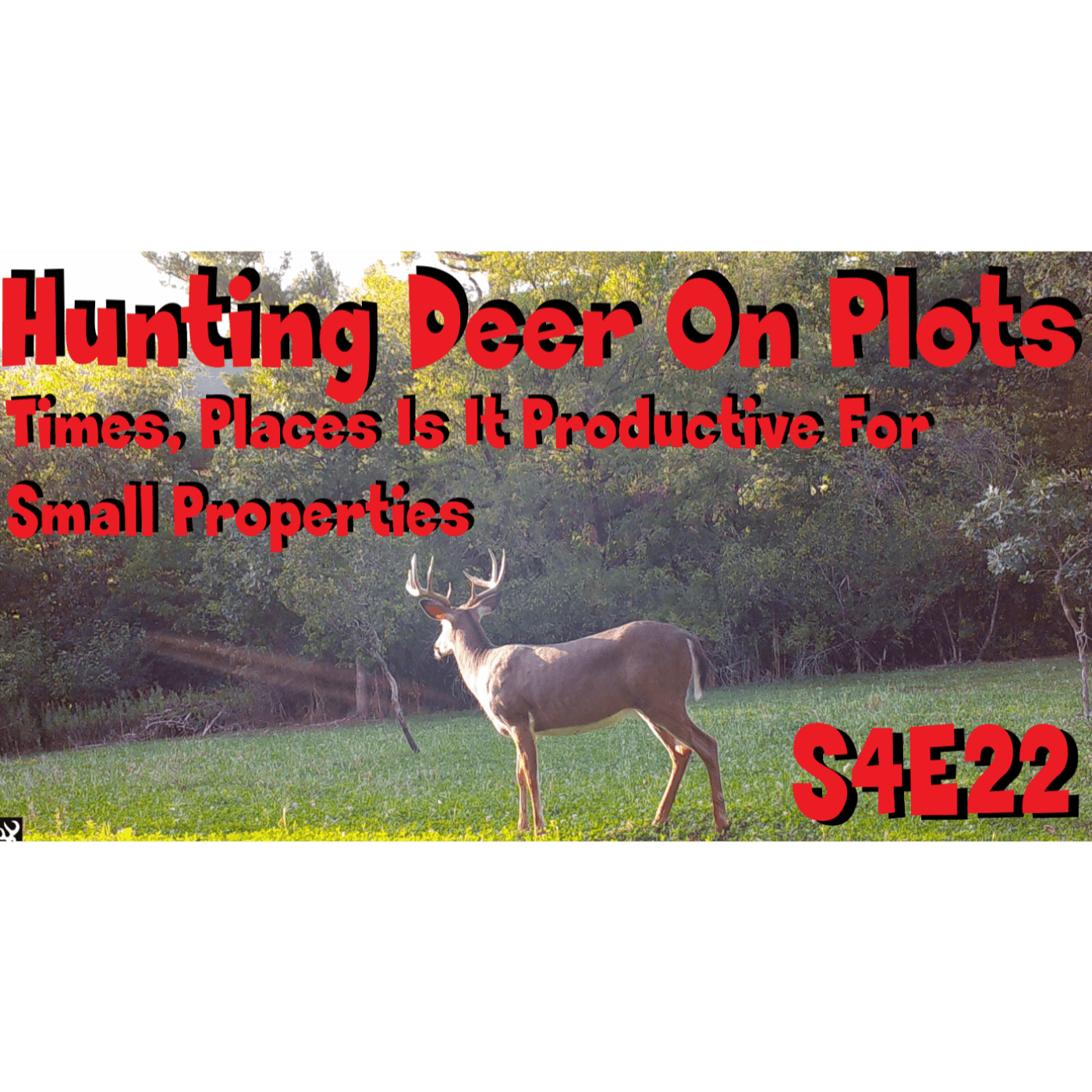 Hunting deer on plots only Our thoughts s4e22