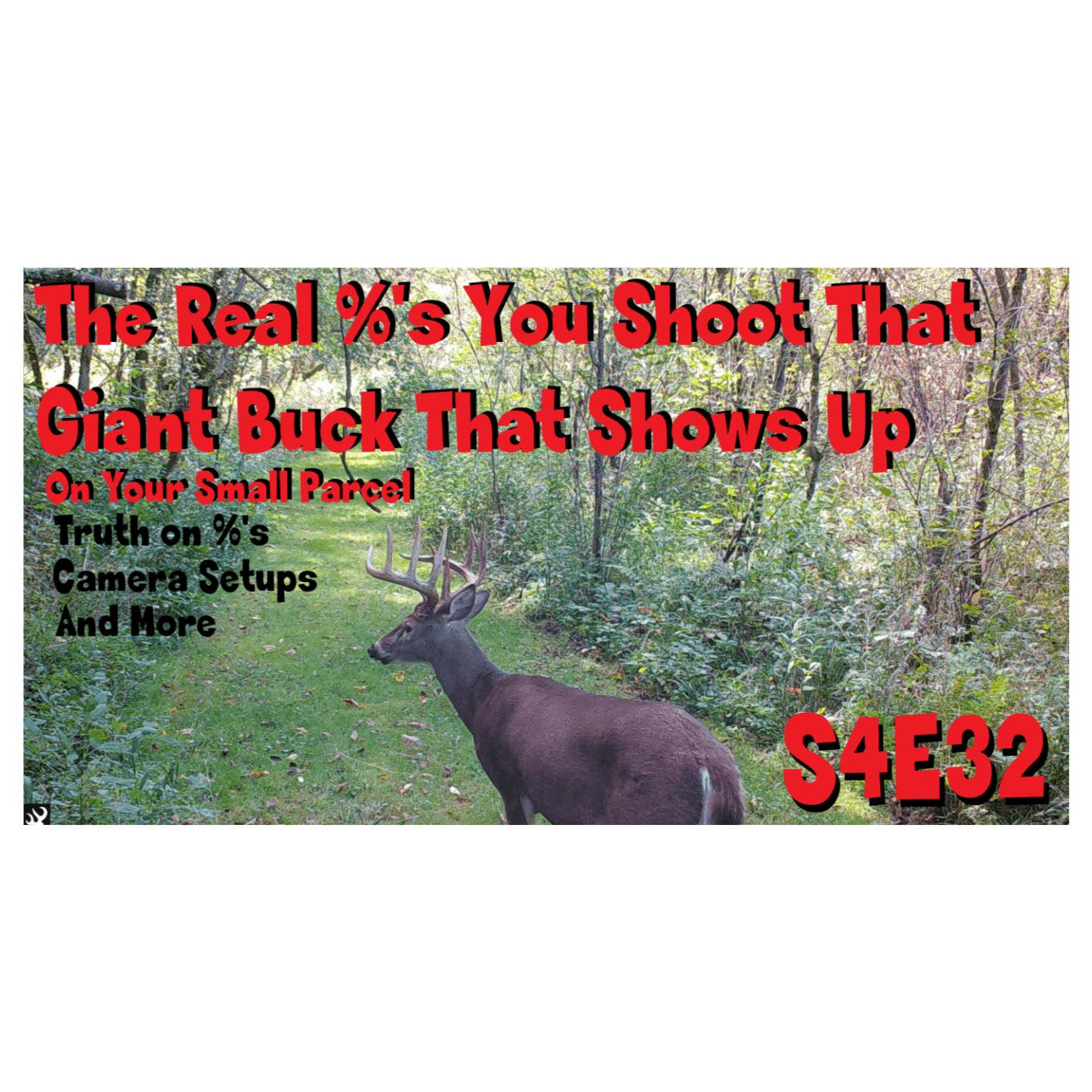 The real %'s you shoot that giant buck that shows up on your small property s4e32