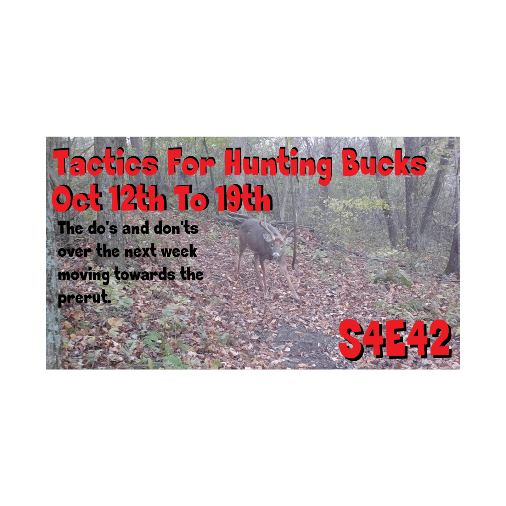 Tactics for hunting bucks oct 12th to oct 19th tips & more the obsession podcast s4e42