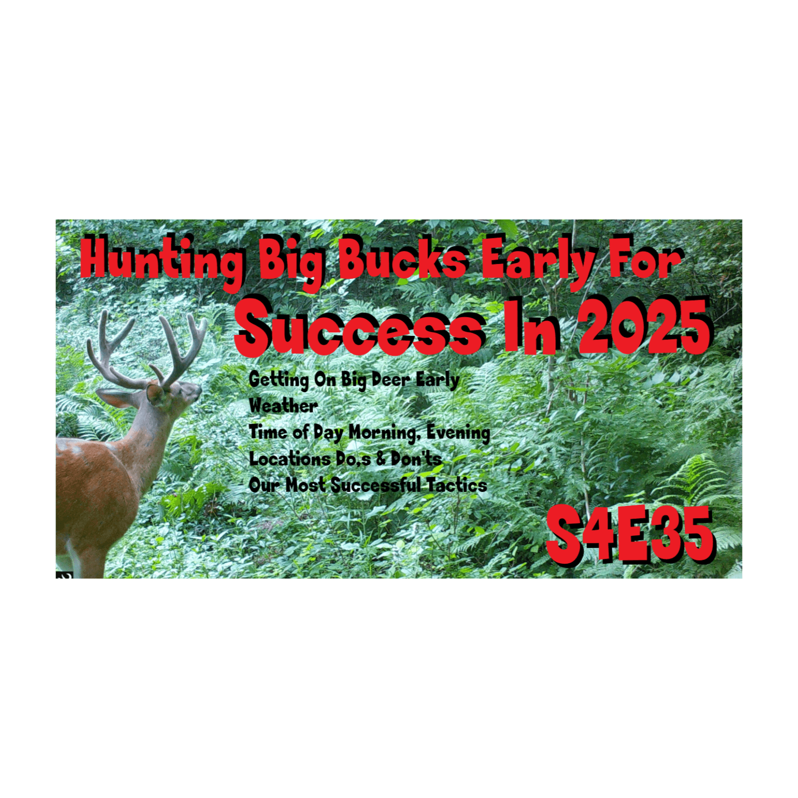 Big Buck Hunting early Season S4E35