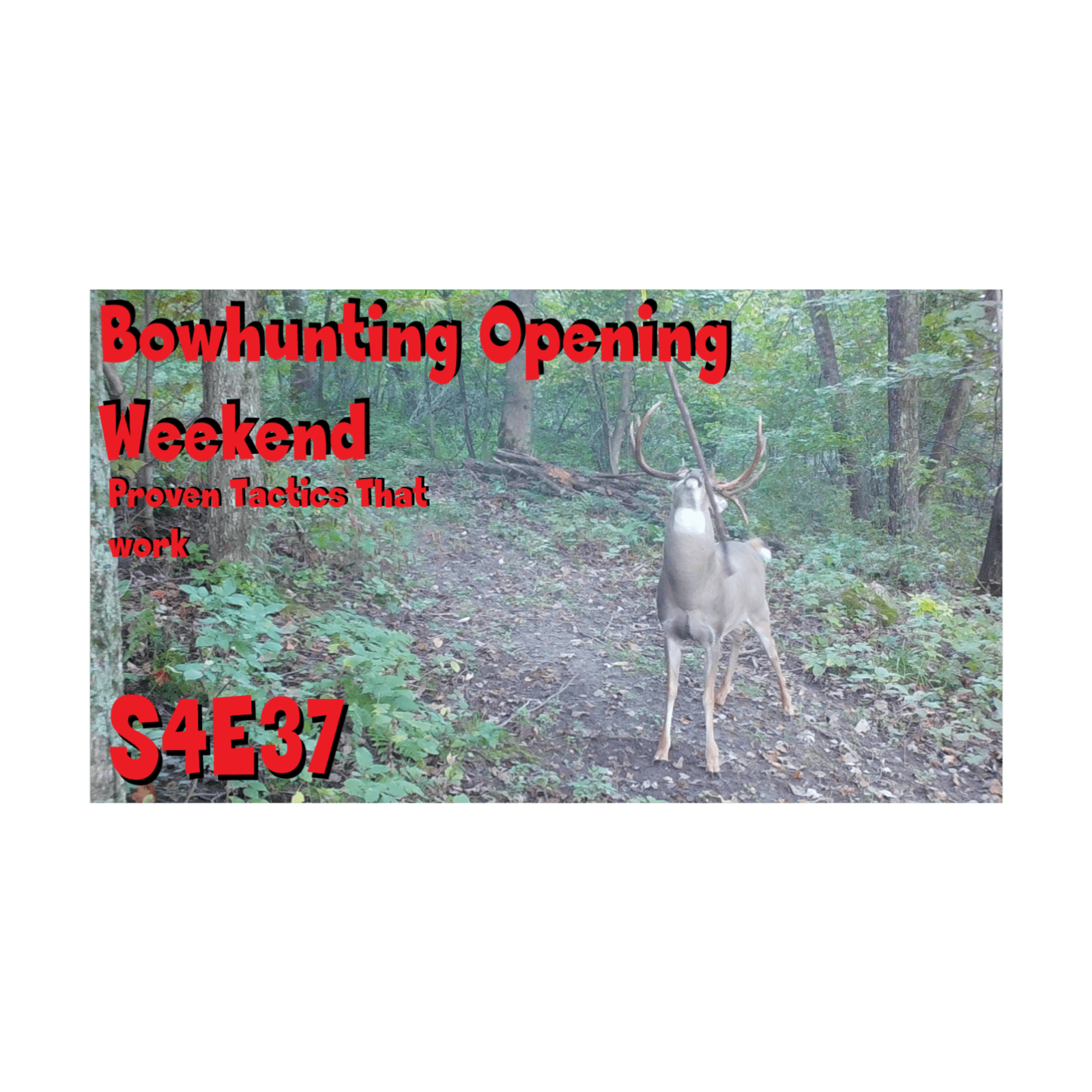 Opening weekend bowhunting tactics for success s4e37