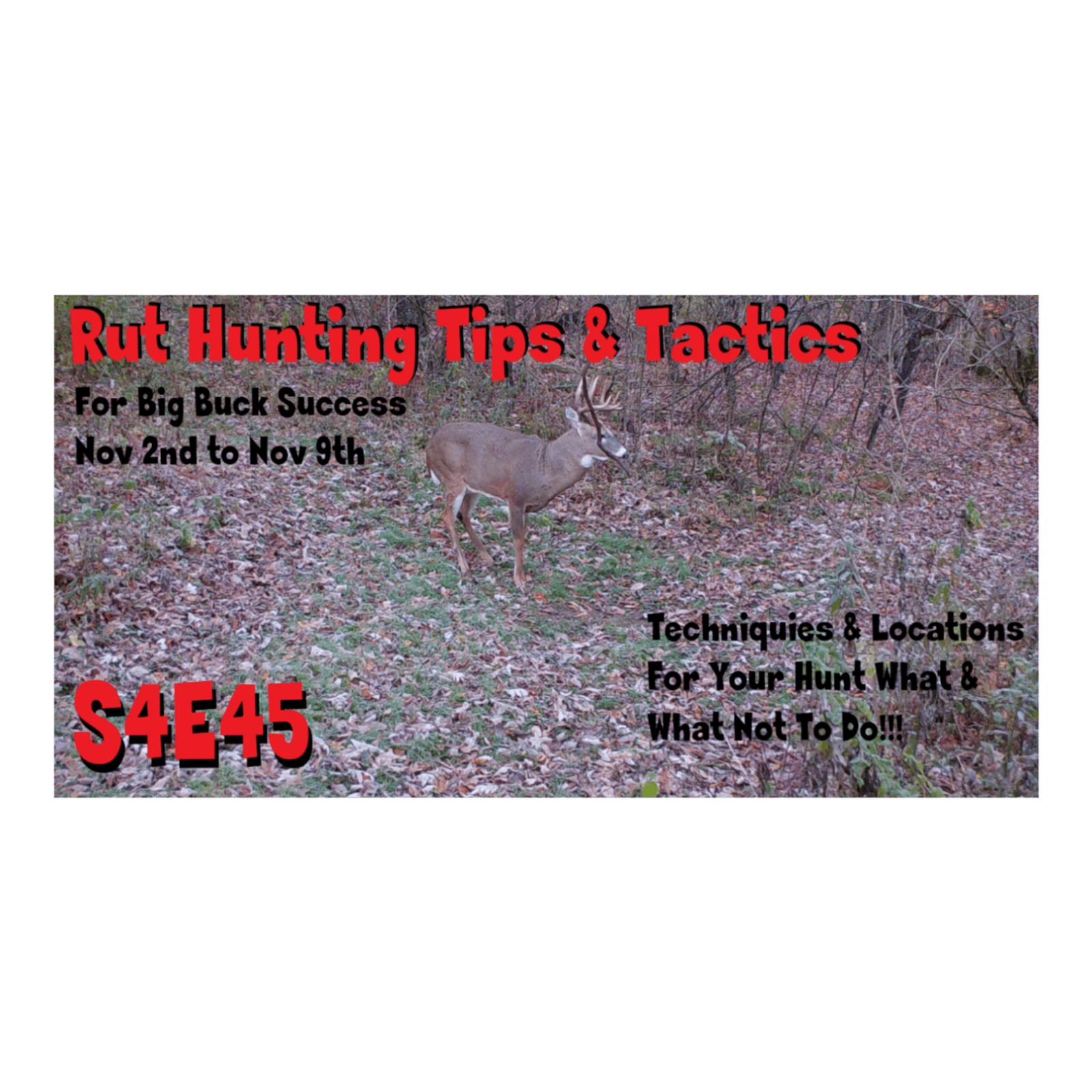 Rut Hunting Tips & Techniques For Buck Success Nov 2nd to Nov 9th The Obsession Podcast s4e45