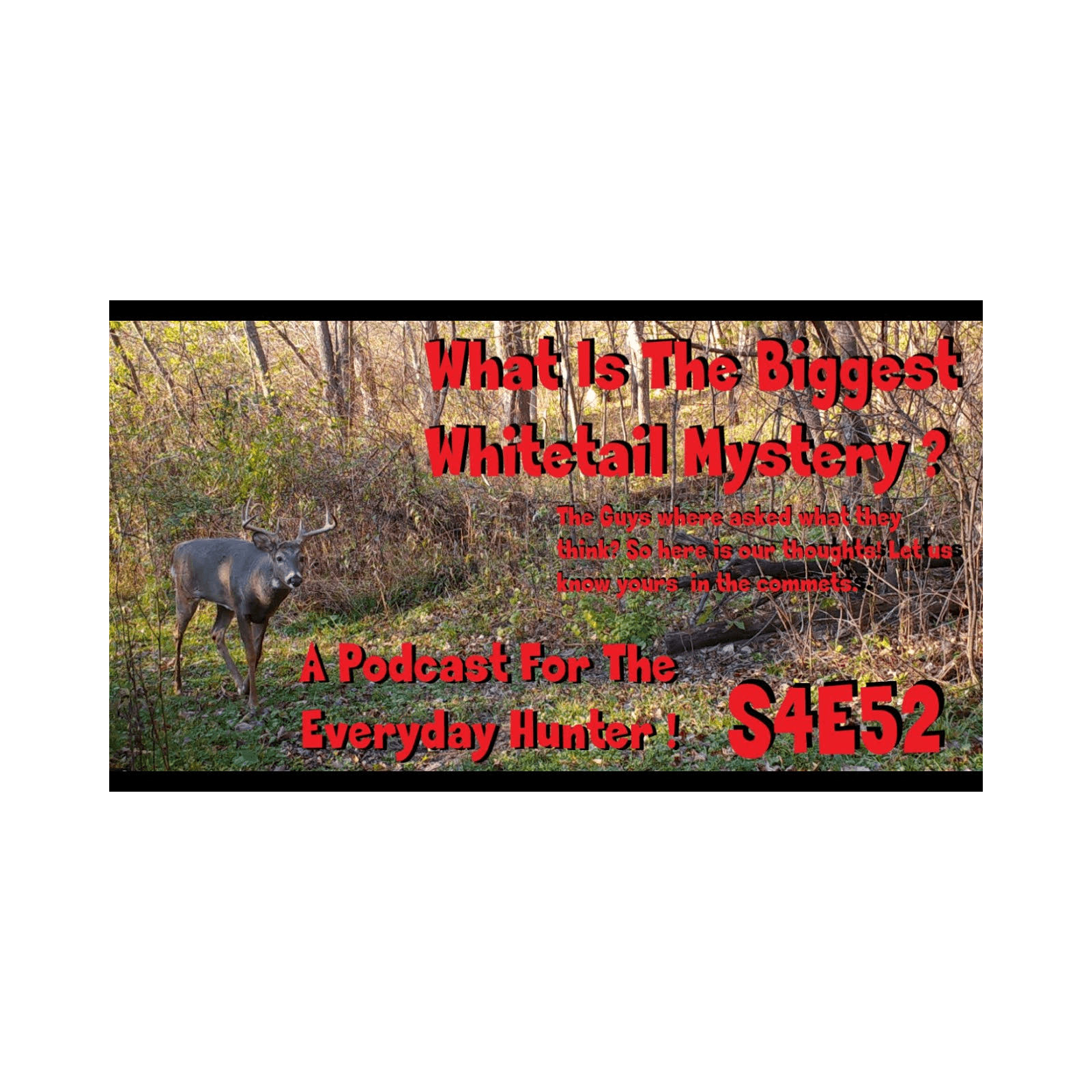 The biggest whitetail mystery? s4e52