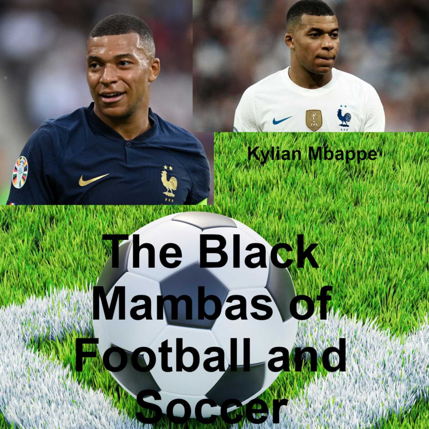 Kylian Mbappe: Al-Hilal make £259m offer for PSG and France forward