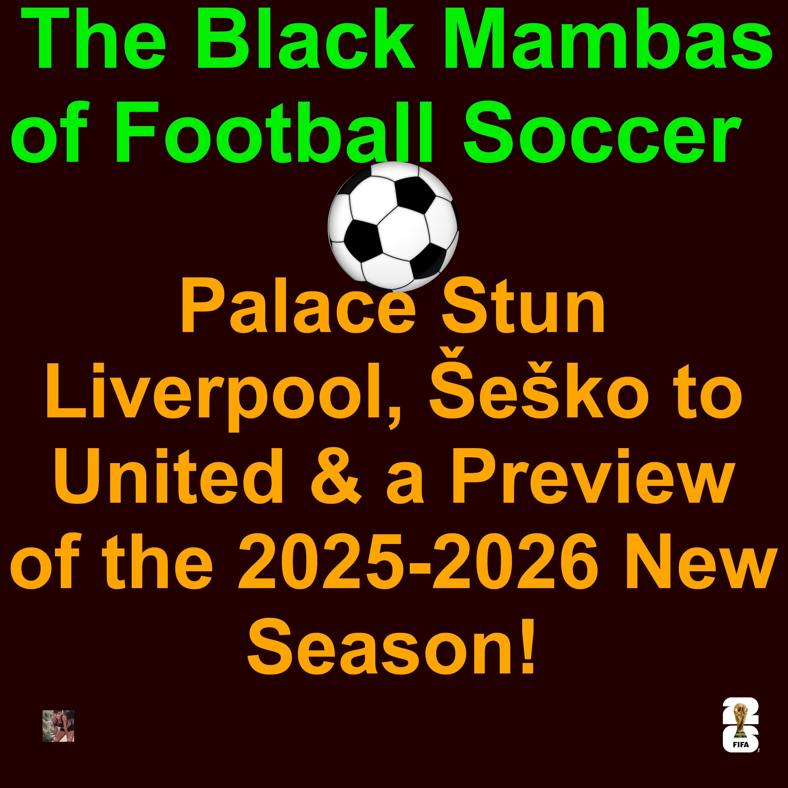 ⚽️ The Black Mambas of Football and Soccer August 03-10 2025: Palace Stun Liverpool, Šeško to United & a Preview of the New Season!