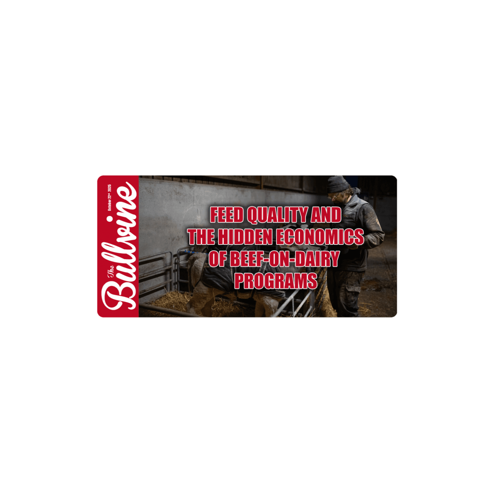 E399 Feed Quality and the Hidden Economics of Beef-on-Dairy Programs