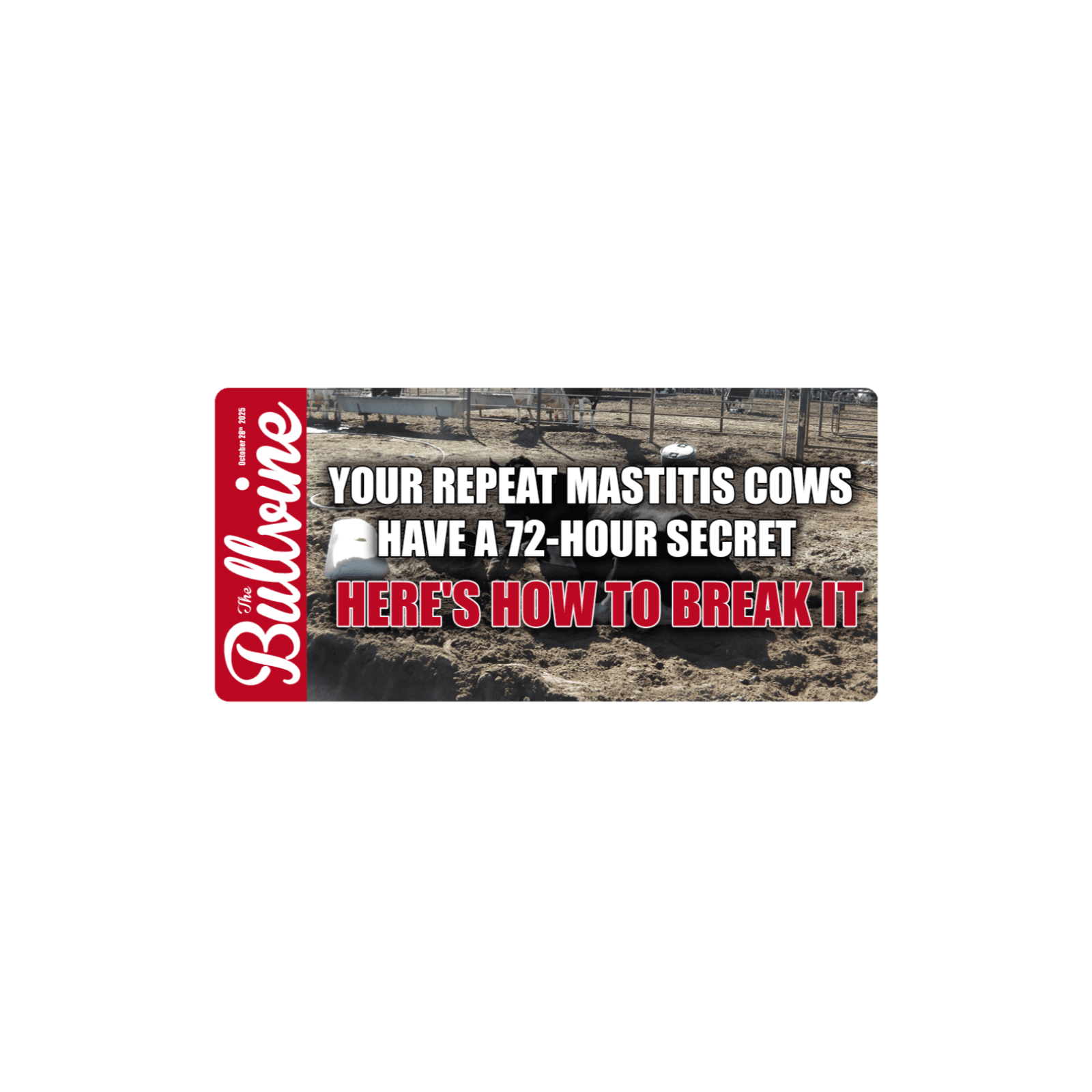 E404 Your Repeat Mastitis Cows Have a 72-Hour Secret - Here's How to Break It