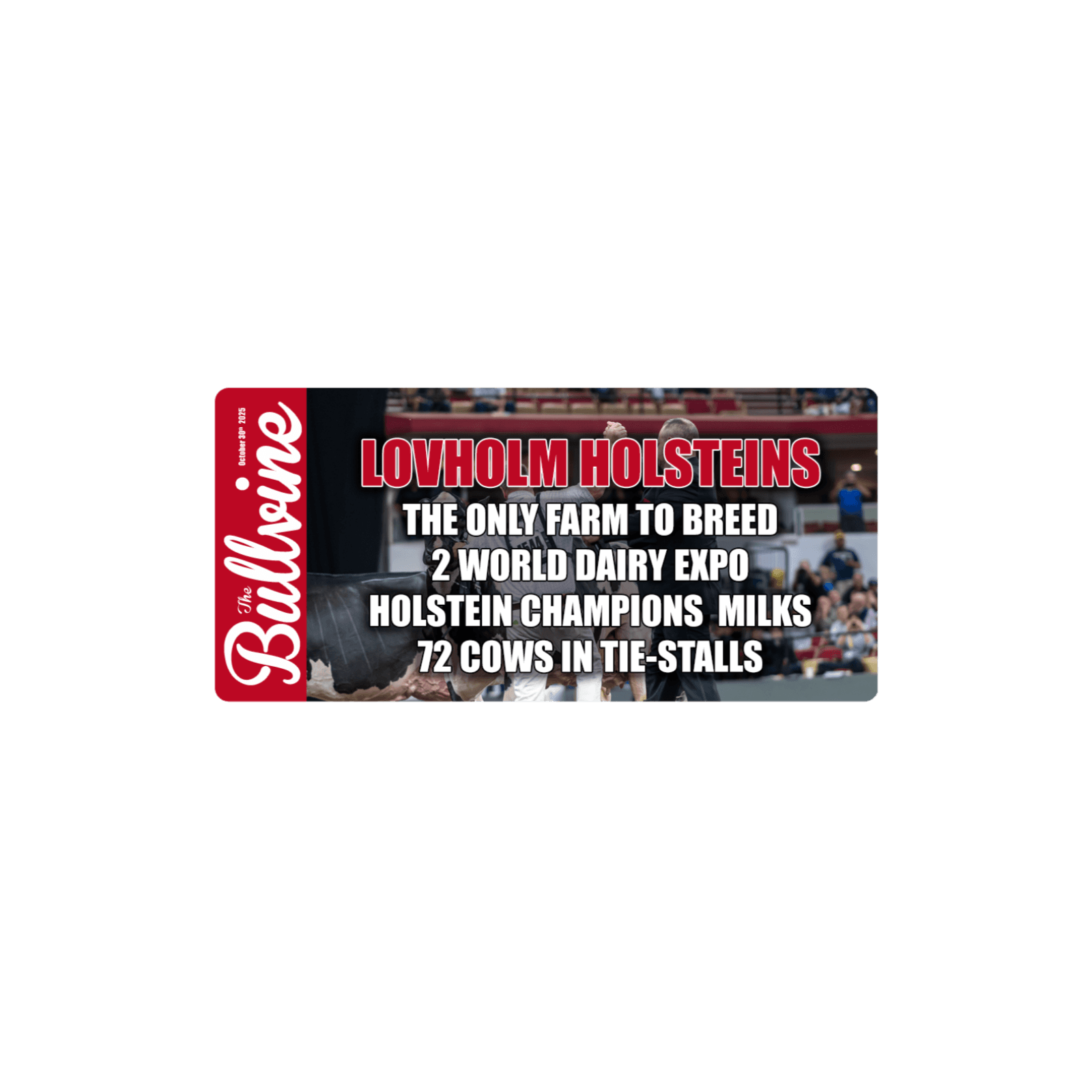 E406 Lovholm Holsteins: The Only Farm to Breed 2 World Dairy Expo Holstein Champions Milks 72 Cows in Tie-Stalls