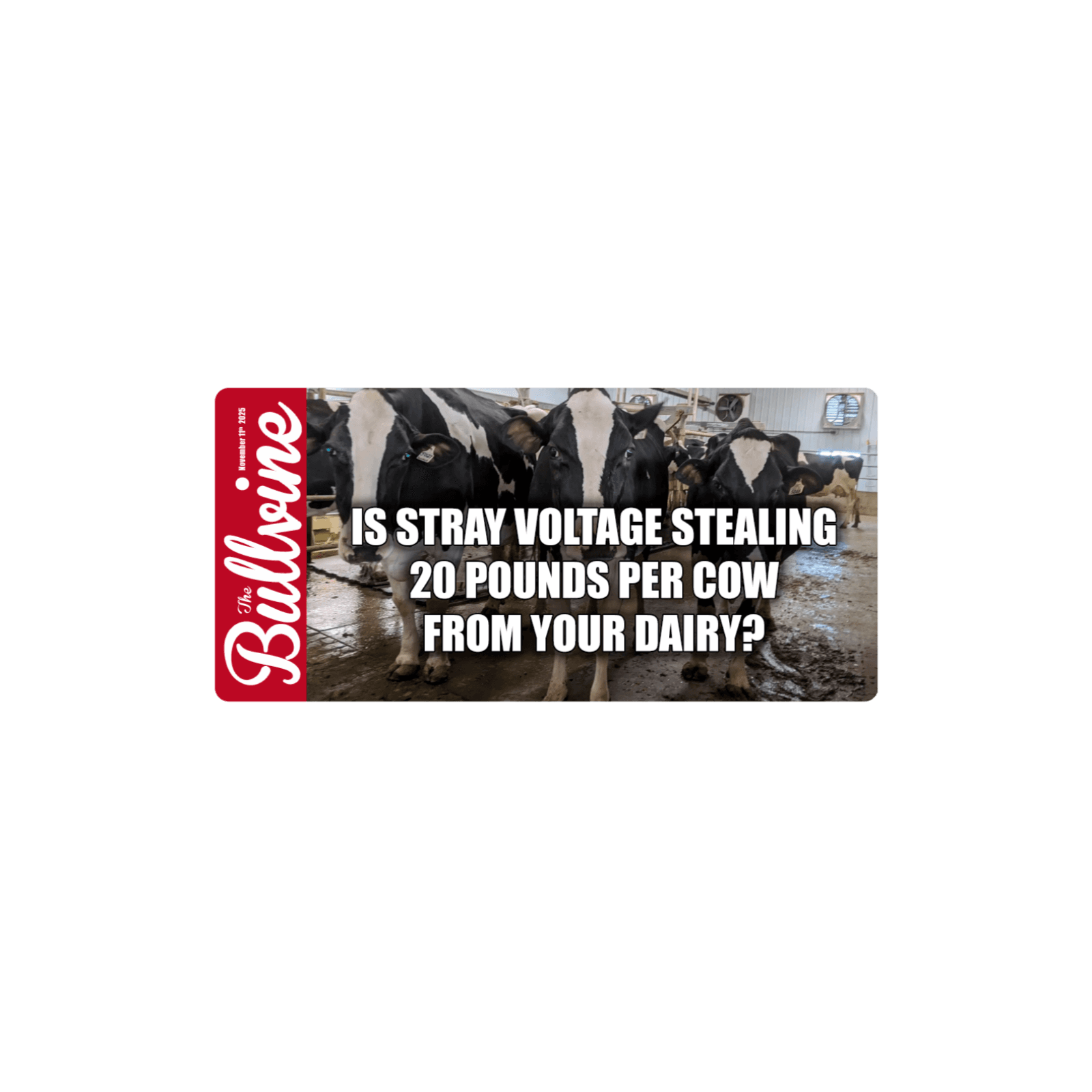 E416 Is Stray Voltage Stealing 20 Pounds Per Cow from Your Dairy?