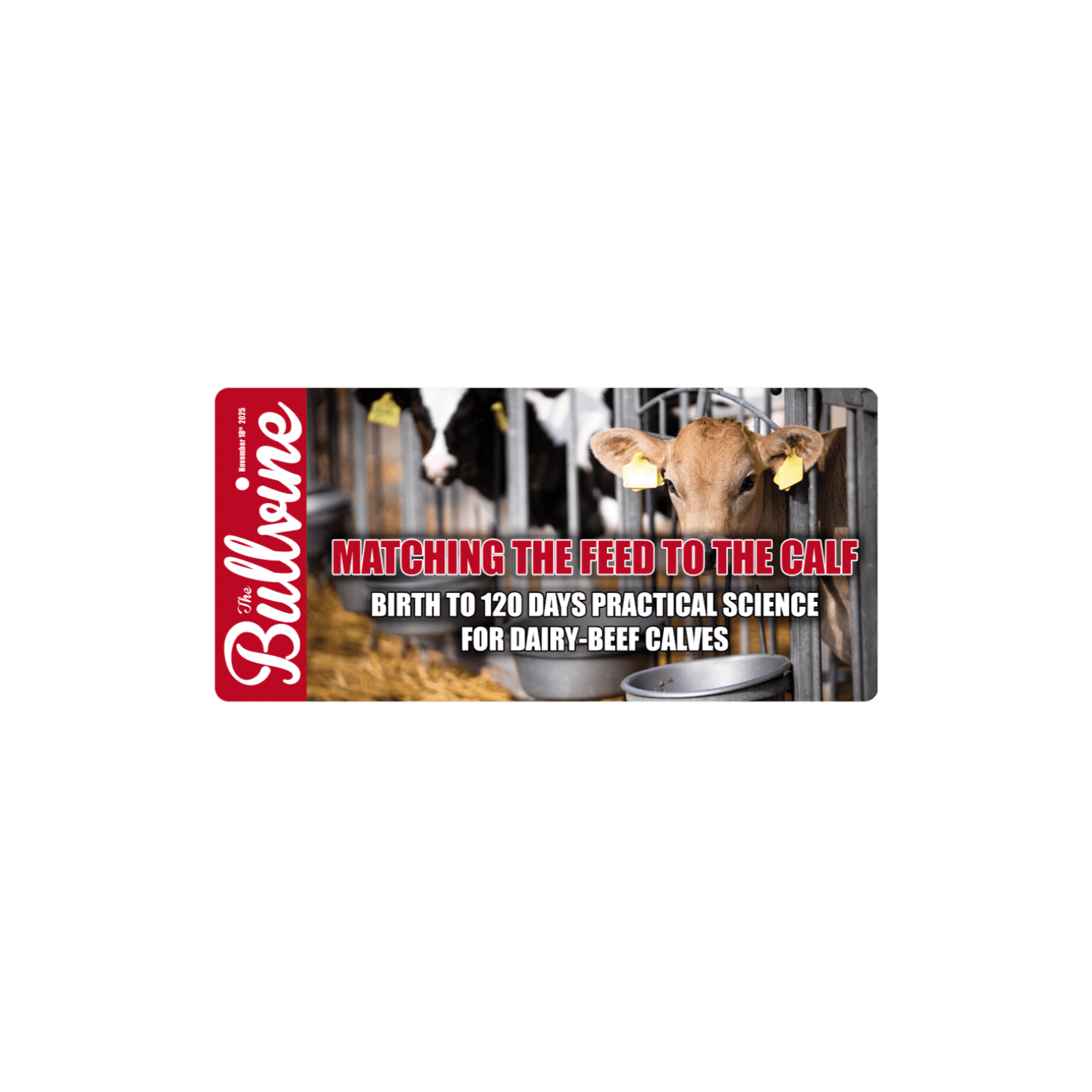 E420 Matching the Feed to the Calf: Birth to 120 Days – Practical Science for Dairy-Beef Calves