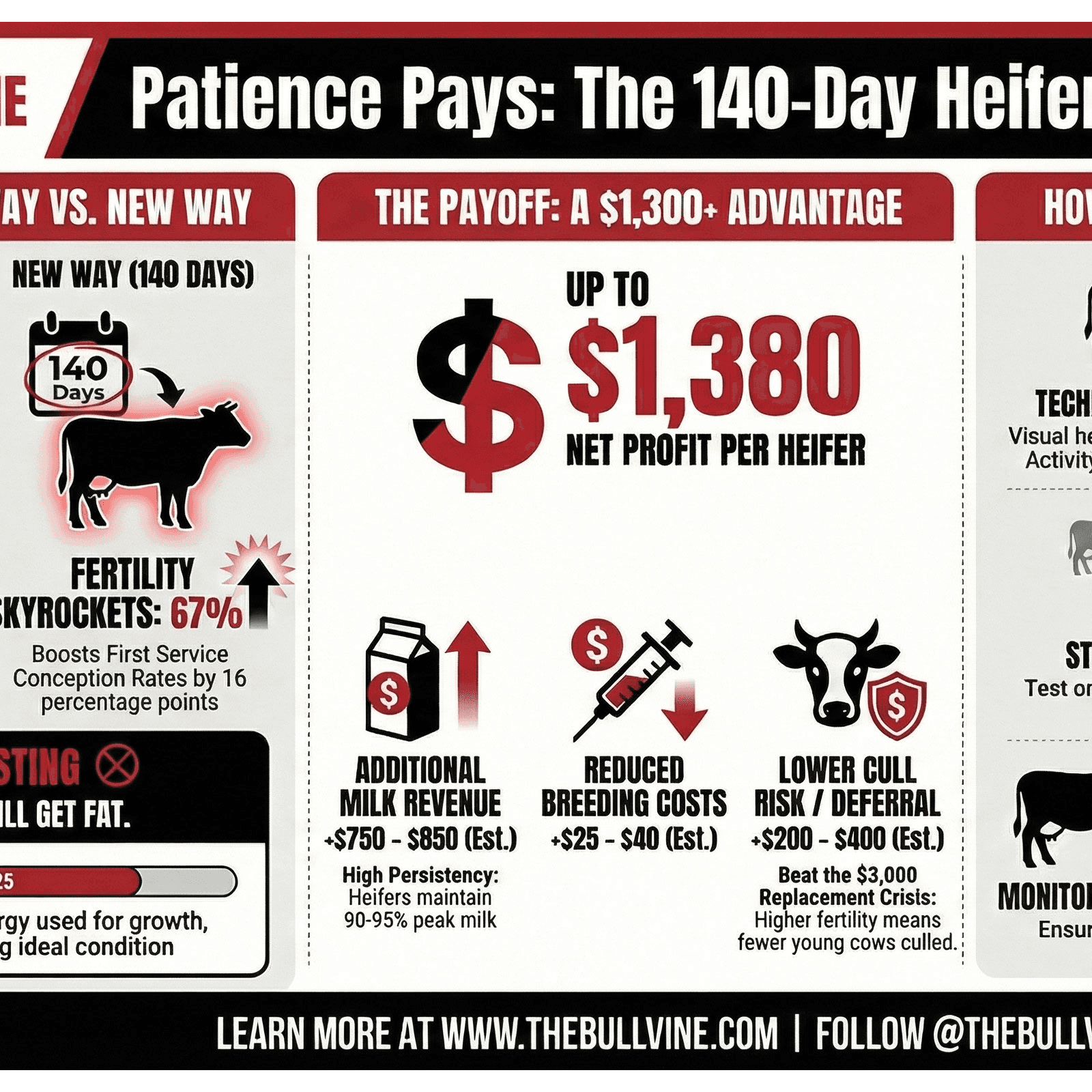 E428 67% Conception Rates: The 140-Day Heifer Breeding Strategy That’s Changing Everything