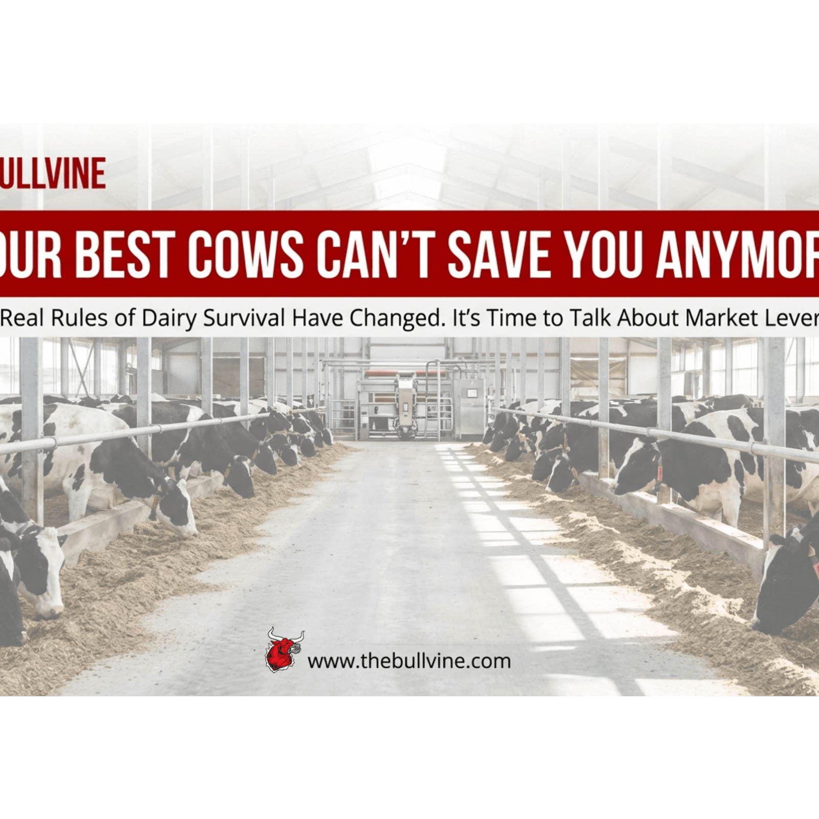 E431 The Real Reason Dairy Farms Are Disappearing (Hint: It’s Not About Better Farming)