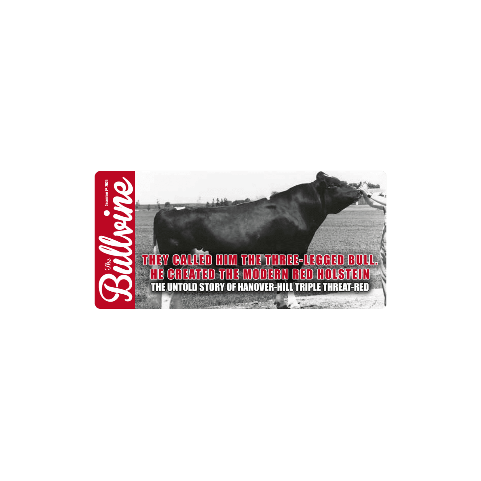 E433 They Called Him the Three-Legged Bull. He Created the Modern Red Holstein: The Untold Story of Hanover-Hill Triple Threat-Red