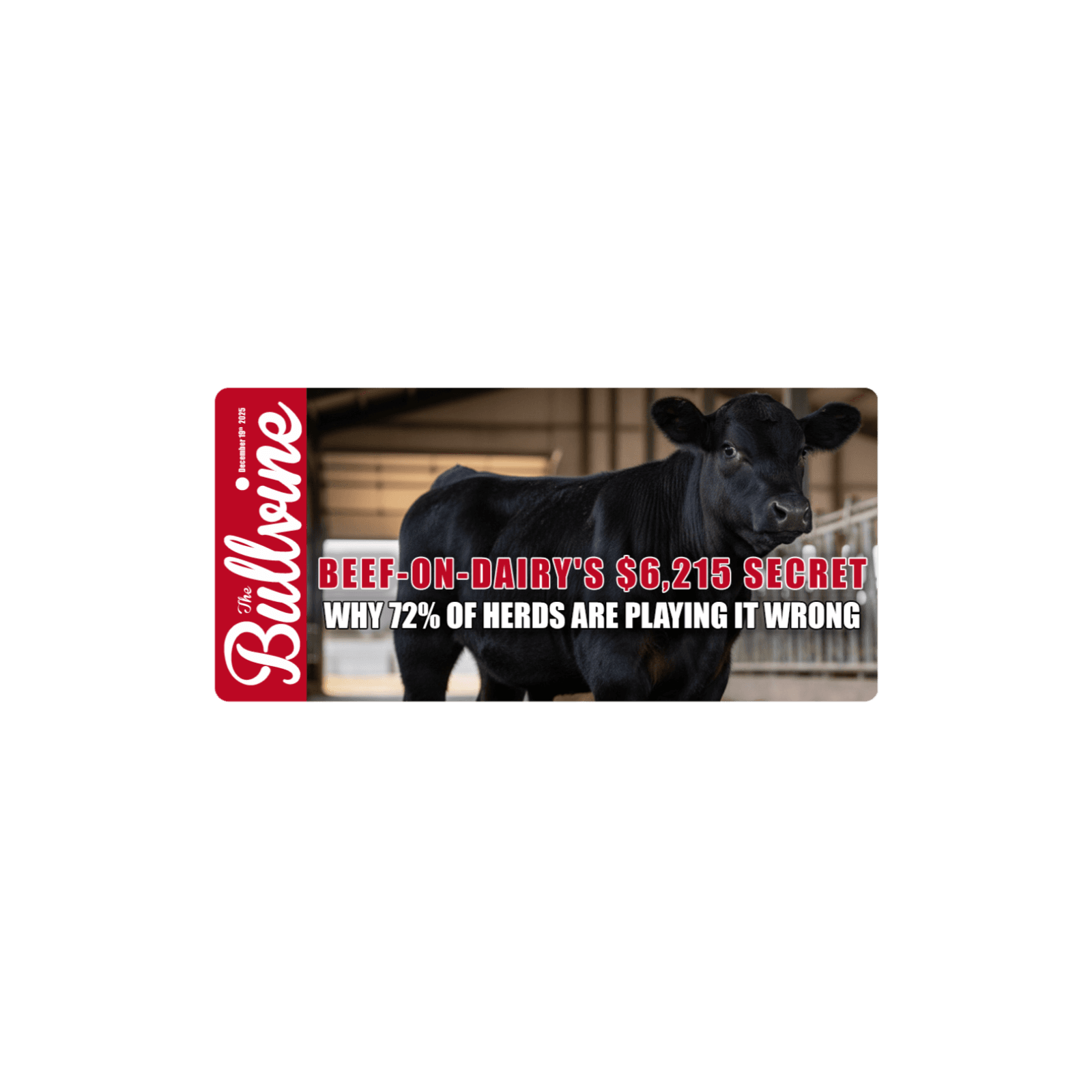 E445 Beef-on-Dairy’s $6,215 Secret: Why 72% of Herds Are Playing It Wrong