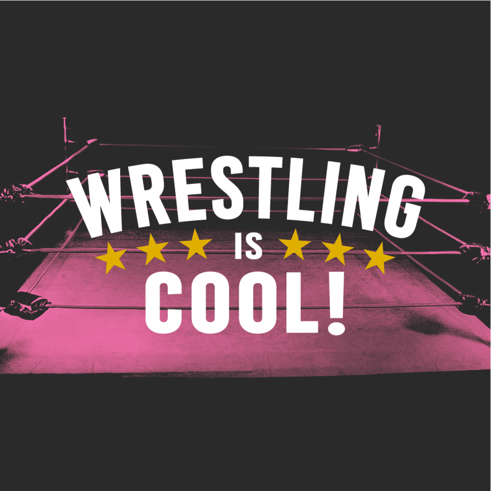 SURVIVOR SERIES FALL OUT - WHO IS UNDER THE MASK? - Wrestling is Cool! Podcast