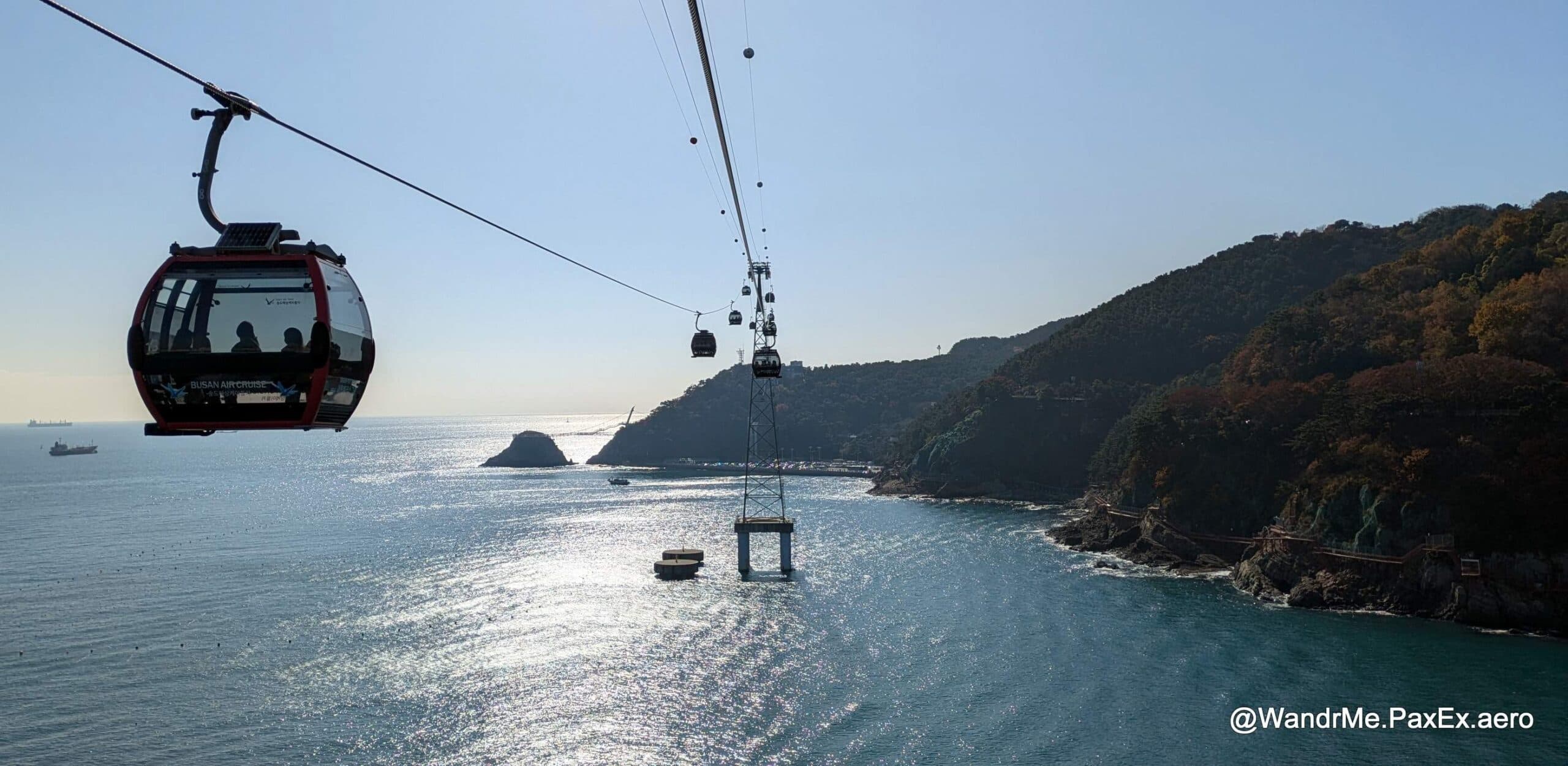 DLD 563: Busan or Bust
