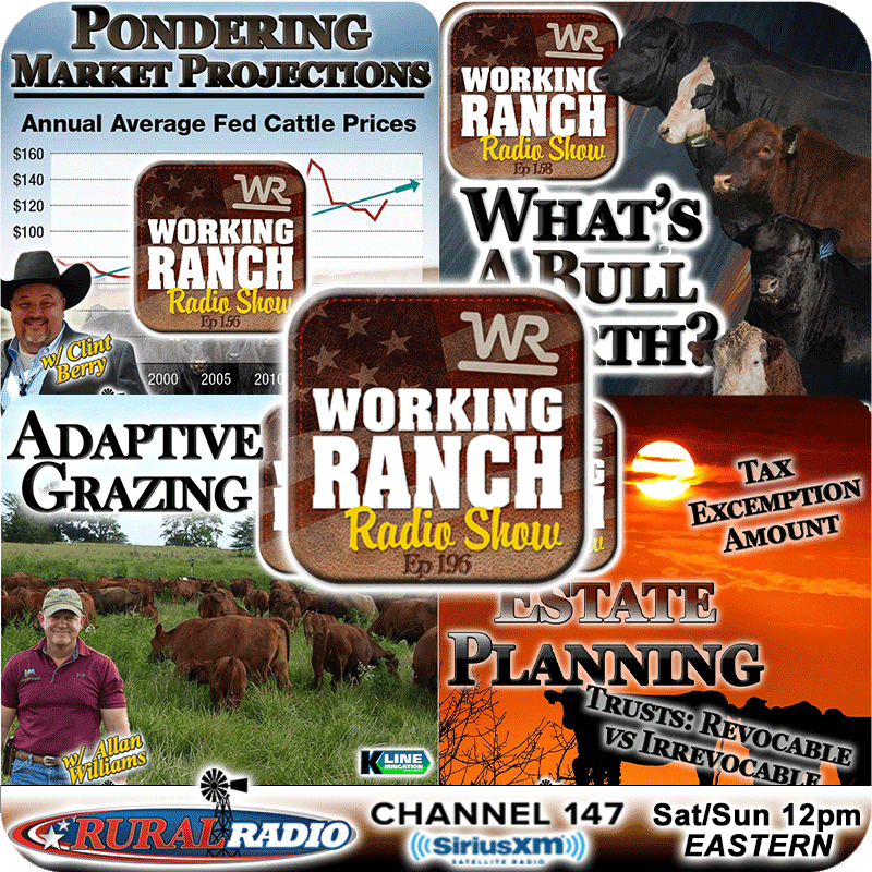 Ep 196: Top Shows from 2024 - #4-#1