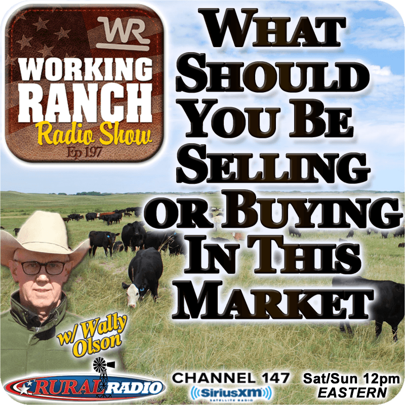 Ep 197: What Should You Be Selling and Buying in this Market w/ Wally Olson
