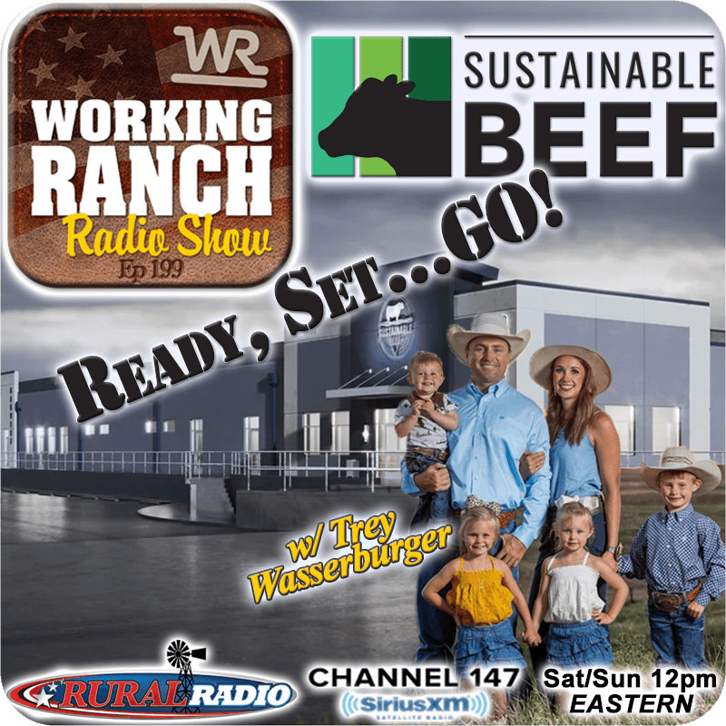 Ep 199: Sustainable Beef LLC… Set to Open! w/ Trey Wasserburger