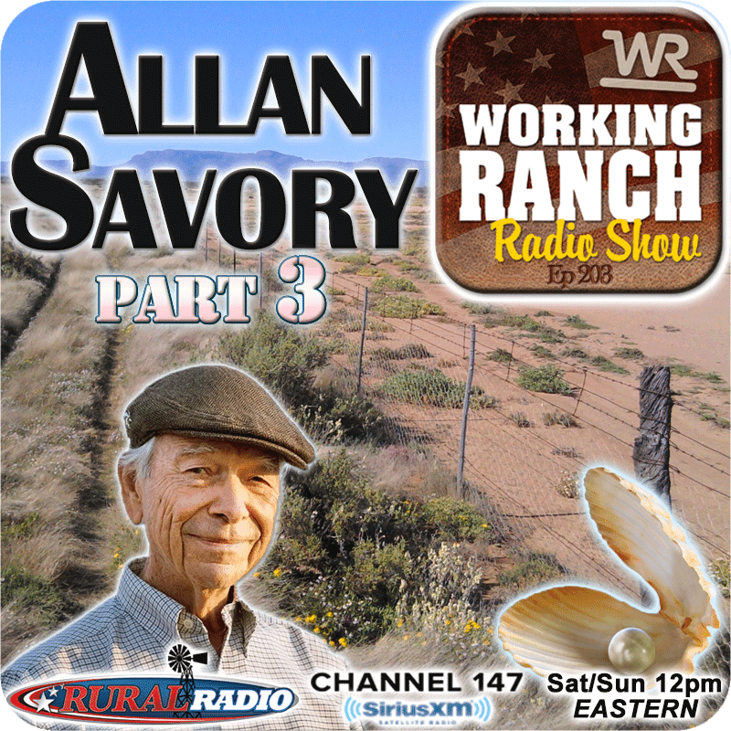Ep 203: Allan Savory – Part 3: Pearls of Wisdom