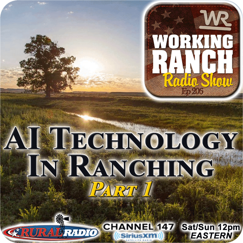 Ep 206: AI Technology In Ranching: Part1