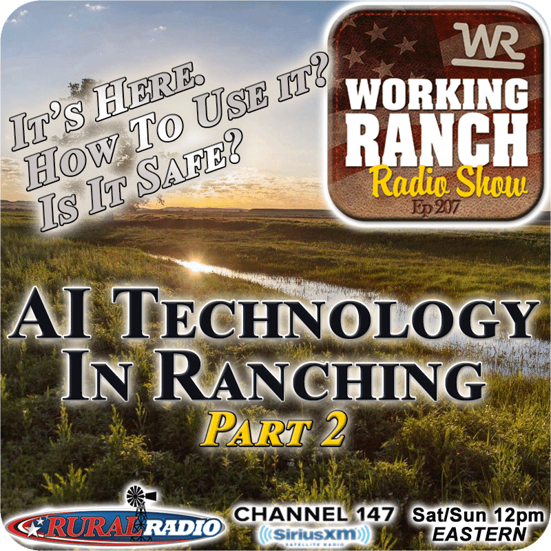 Ep 207: AI Technology: Part2 – It's Here, How Do We Use it ... Is It Safe?