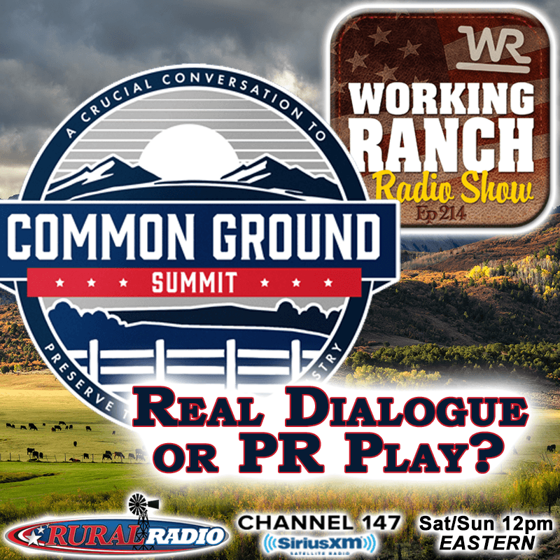 Ep 214: Common Ground Summit: Real Dialogue or PR Play?