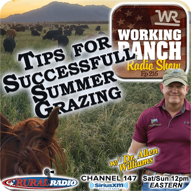 Ep 216: Tips for Successful Summer Grazing w/ Dr. Allen Williams